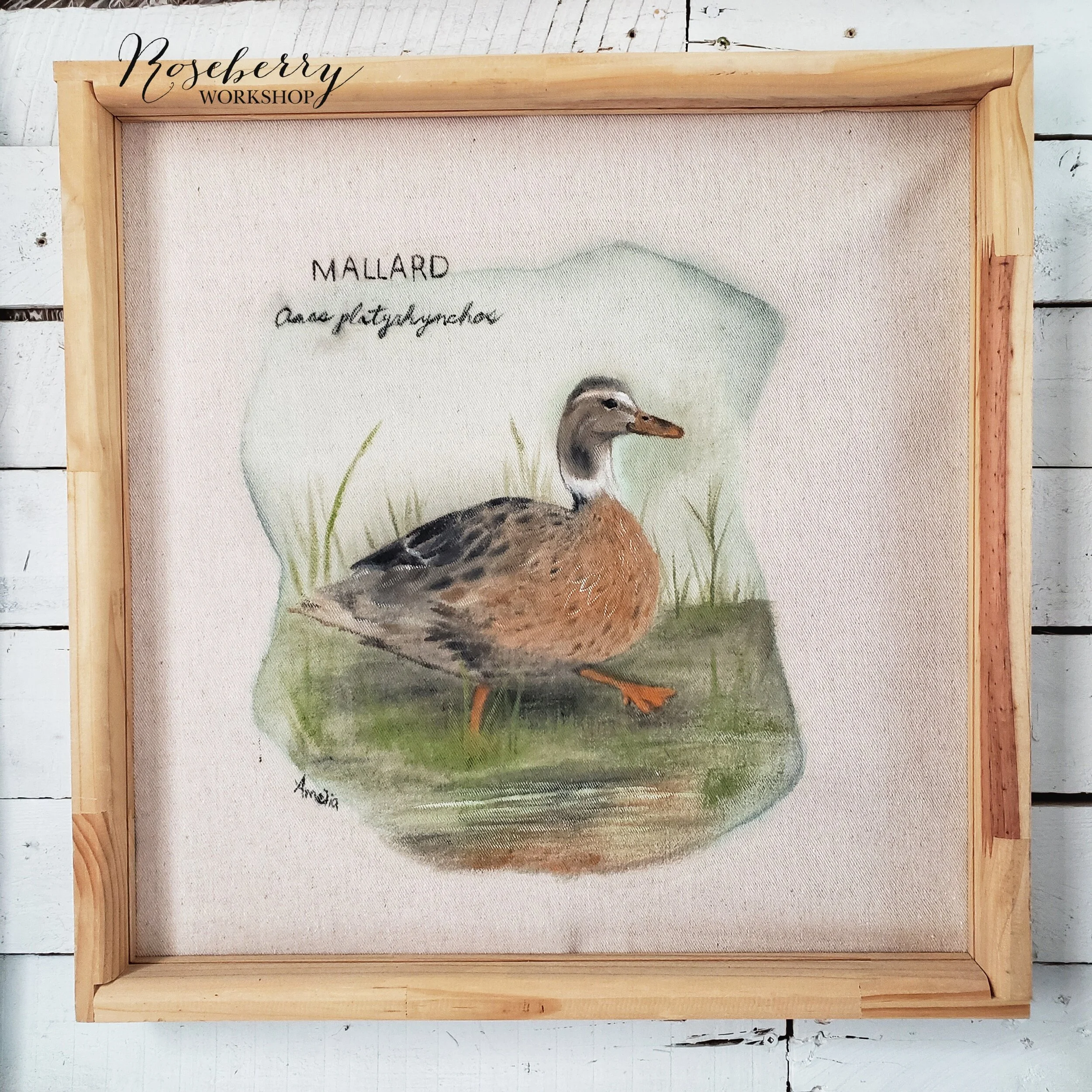 "Mallard" Painting