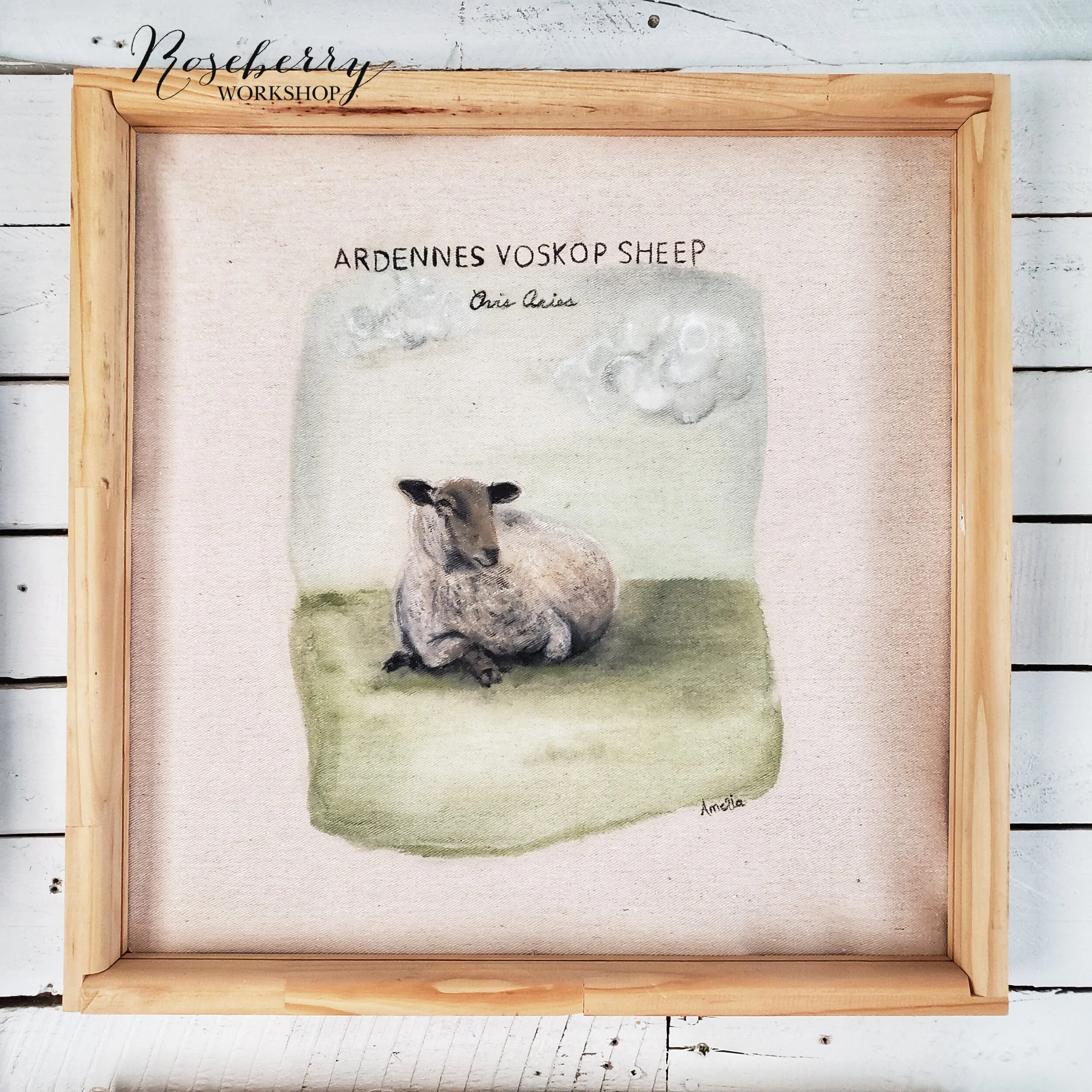 "Ardennes Voskop Sheep" Painting