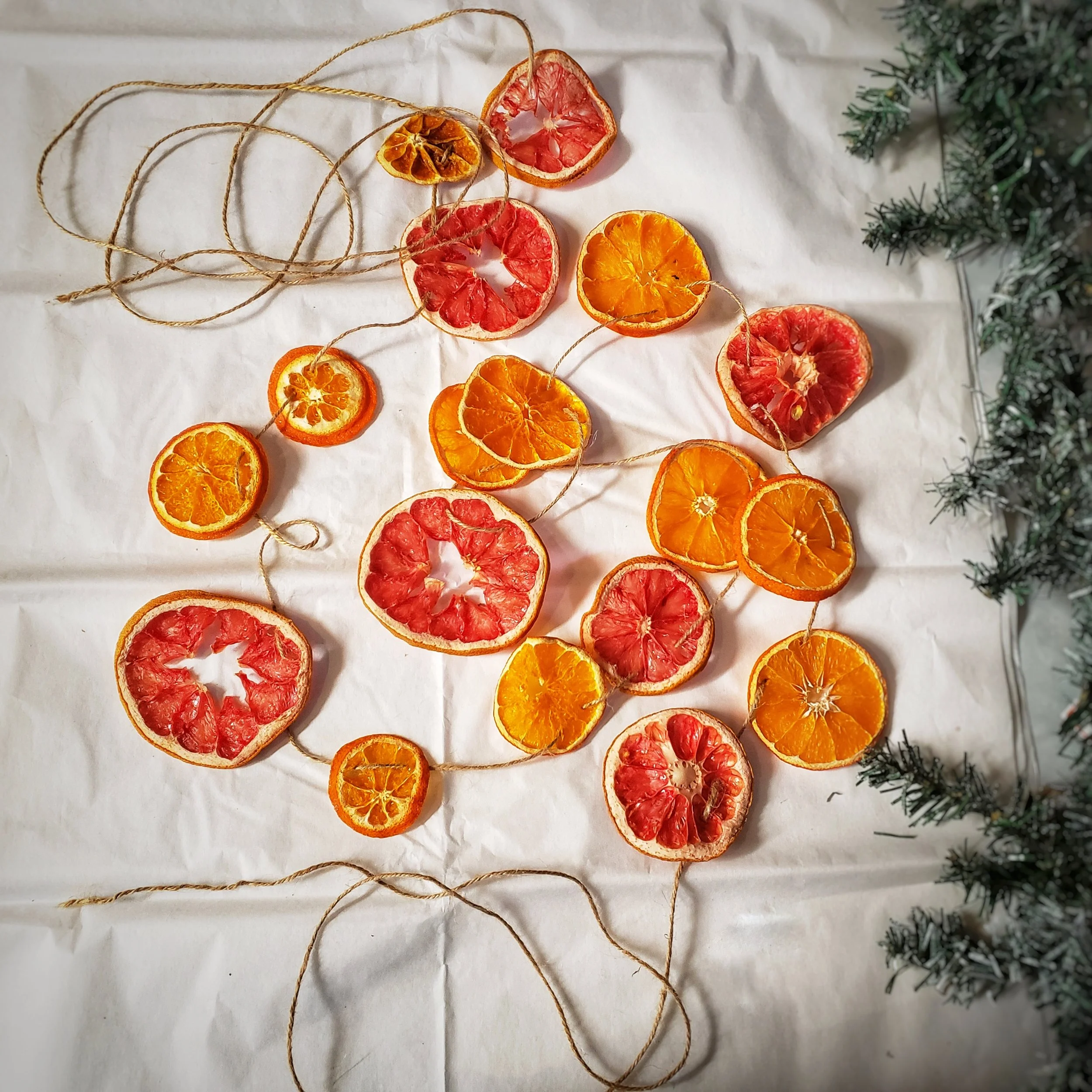 Citrus Garland