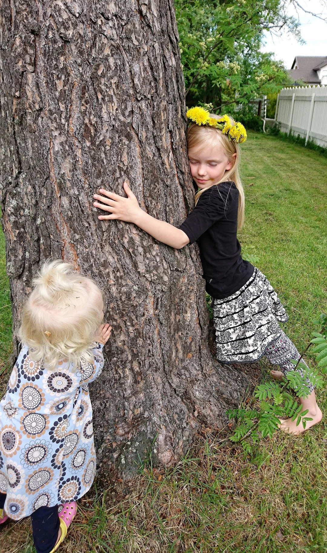 Lumi and Kukka with THAT tree