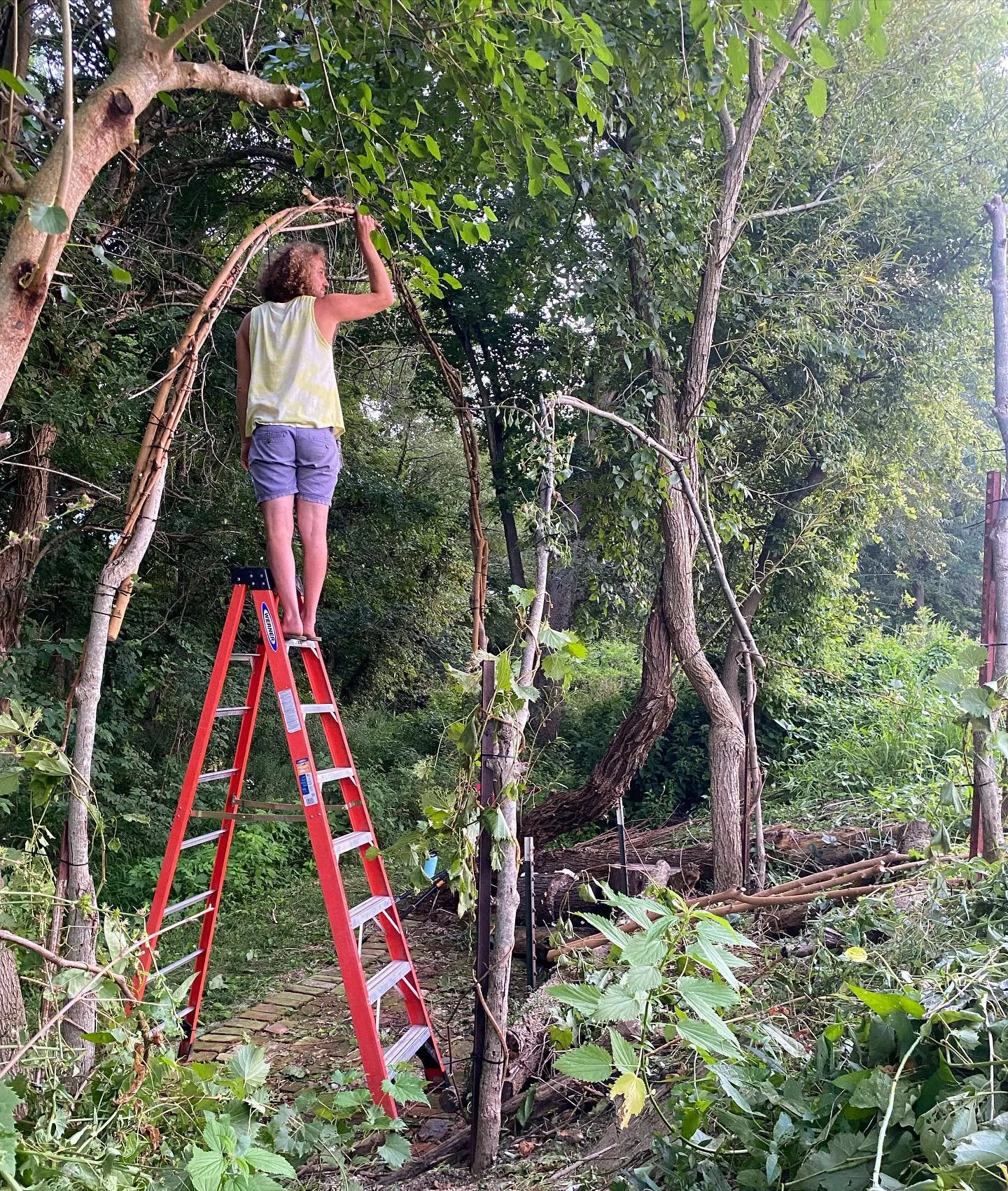 Climbing up this latter to get a better look at my upcoming schedule!  Come find me in Saranac Lake, NY Aug 31st and Sept 1st!!!!