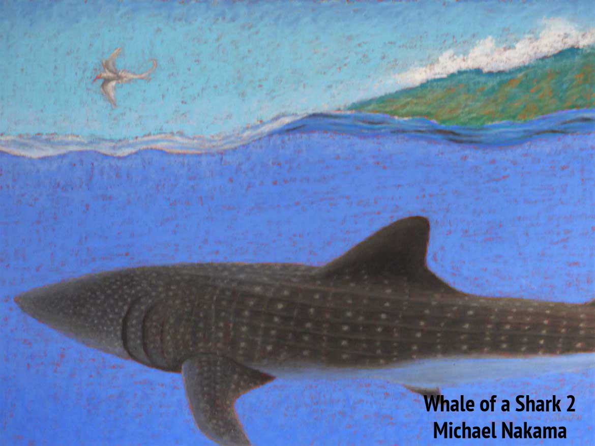 Whale of a Shark 2