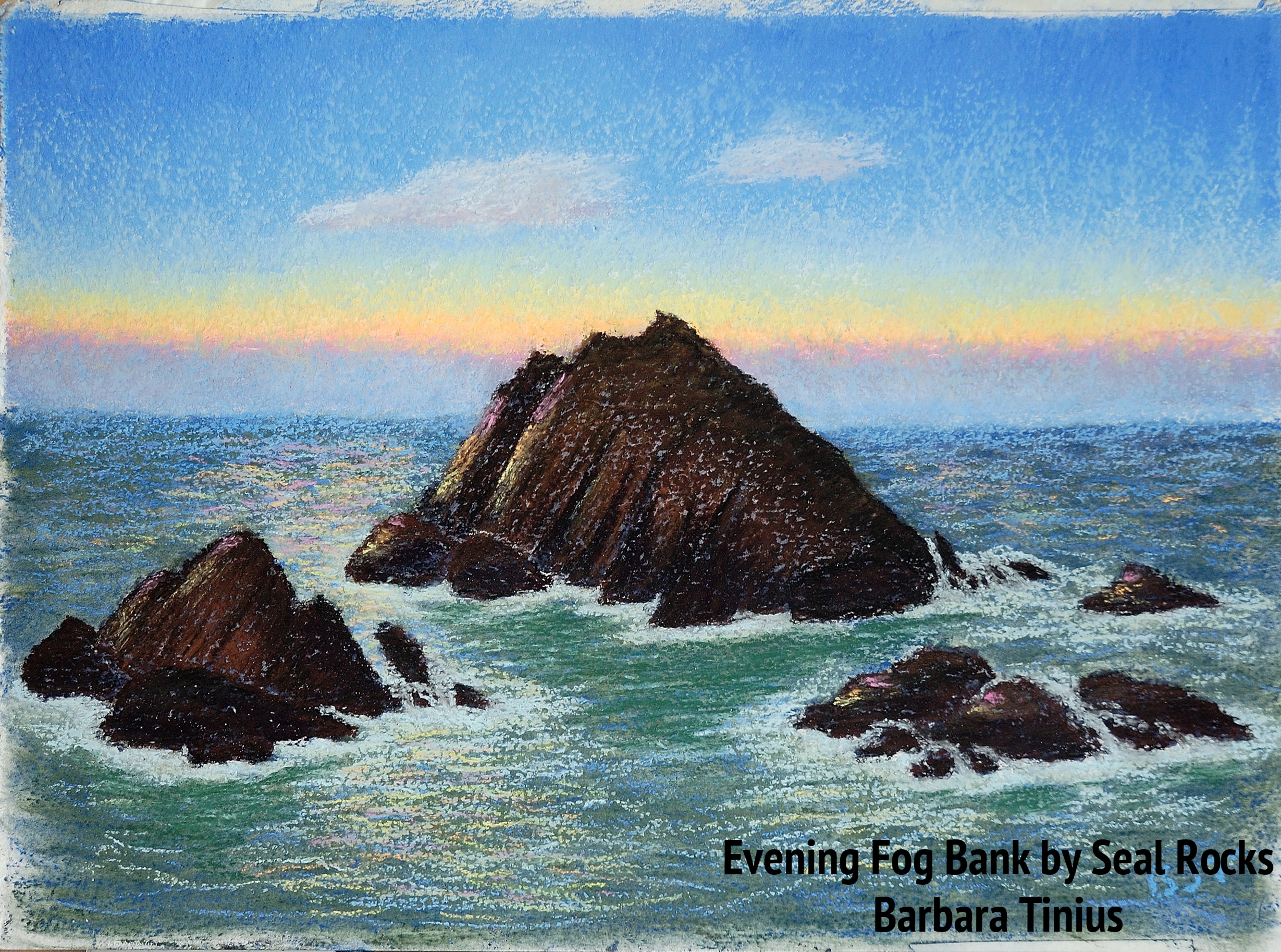 Evening Fog Bank by Seal Rocks