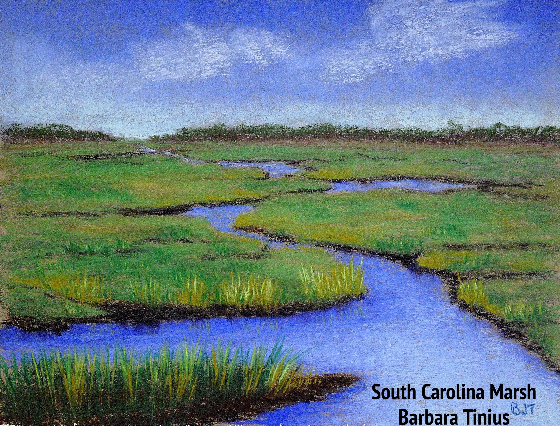 South Carolina Marsh
