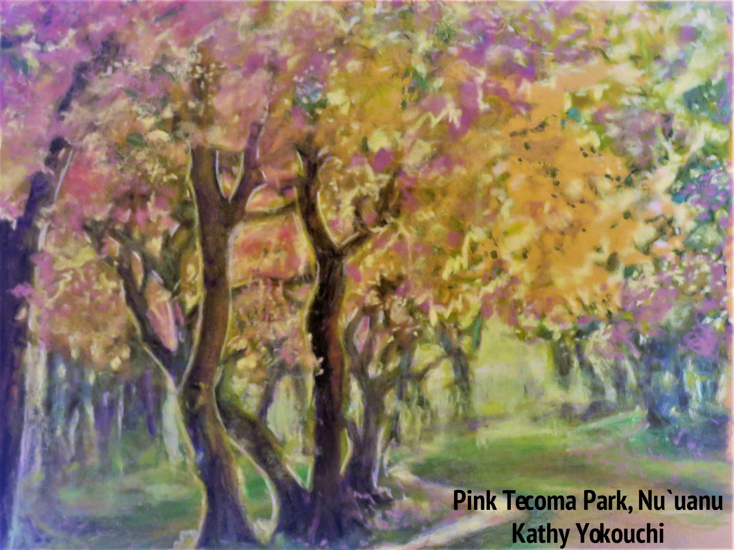 Pink Tecoma Park in Nu`uanu