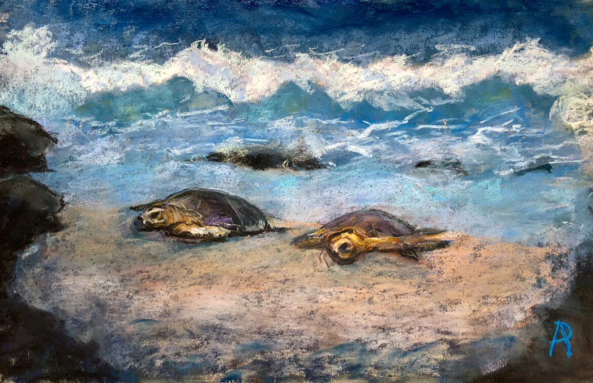 Sea Turtles