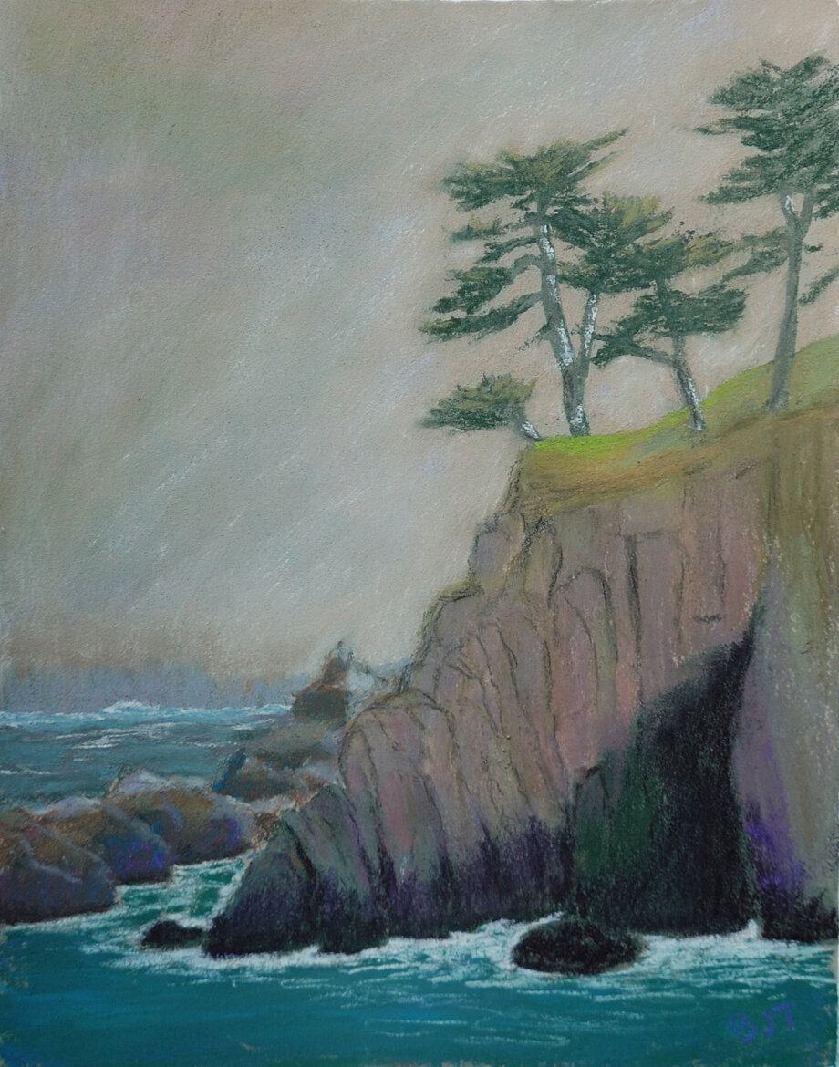 Monterey Cypress - Barbara Tinius