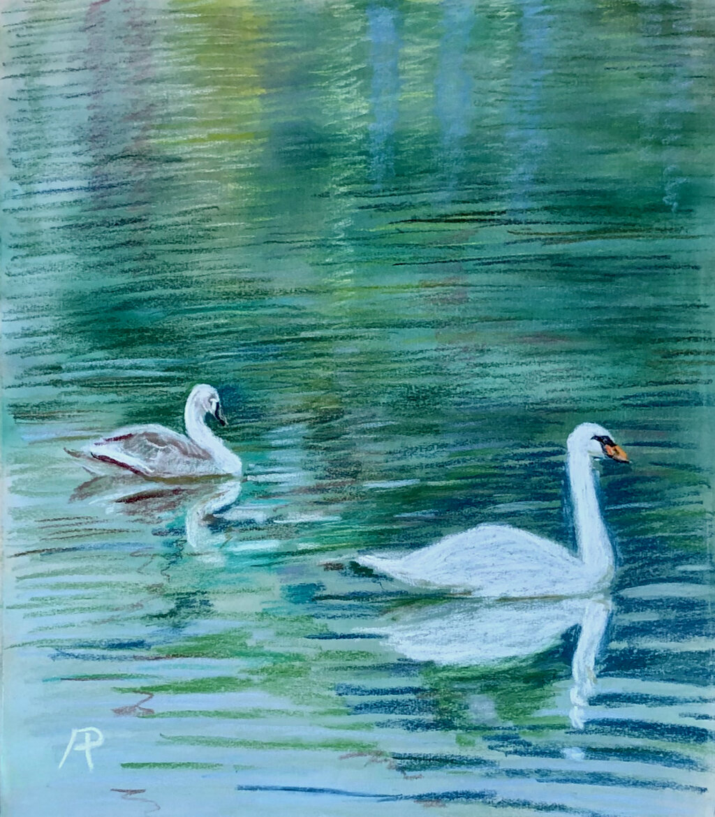 Swans - Ann Peters