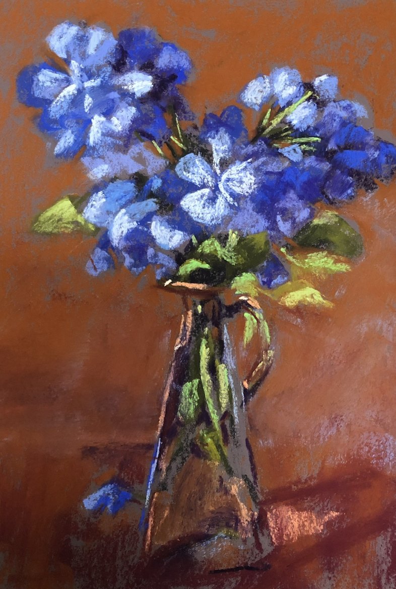 Plumbago