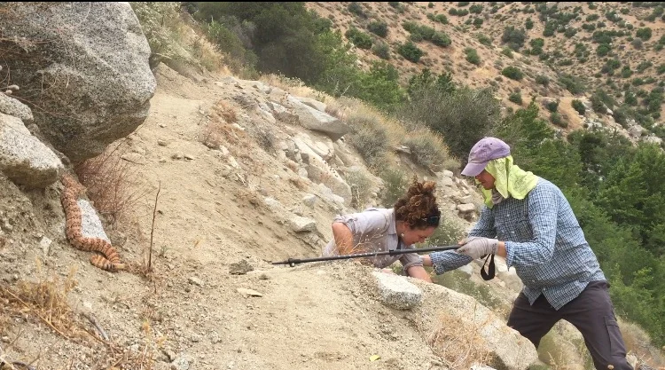 Aaron helping Kim get around the rattler