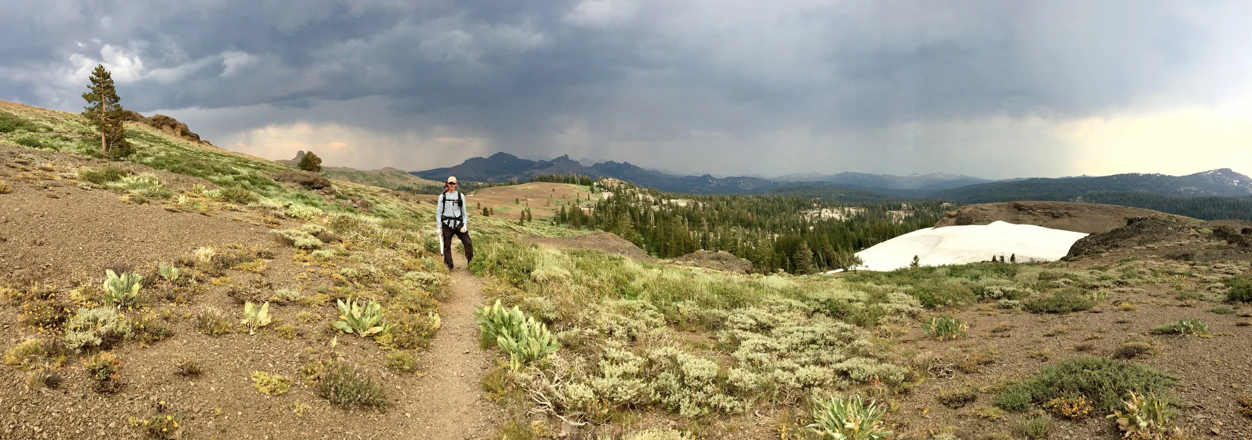 Utah Aaron