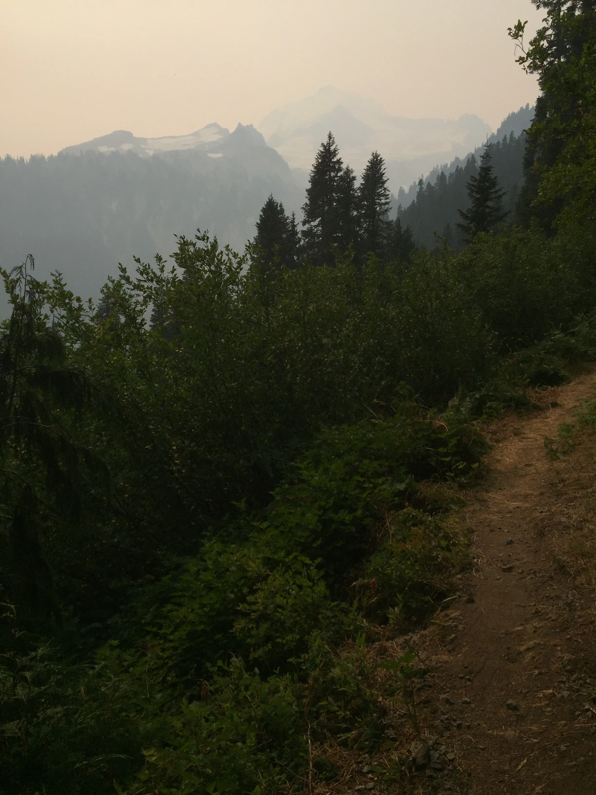 IMG_4573.JPG