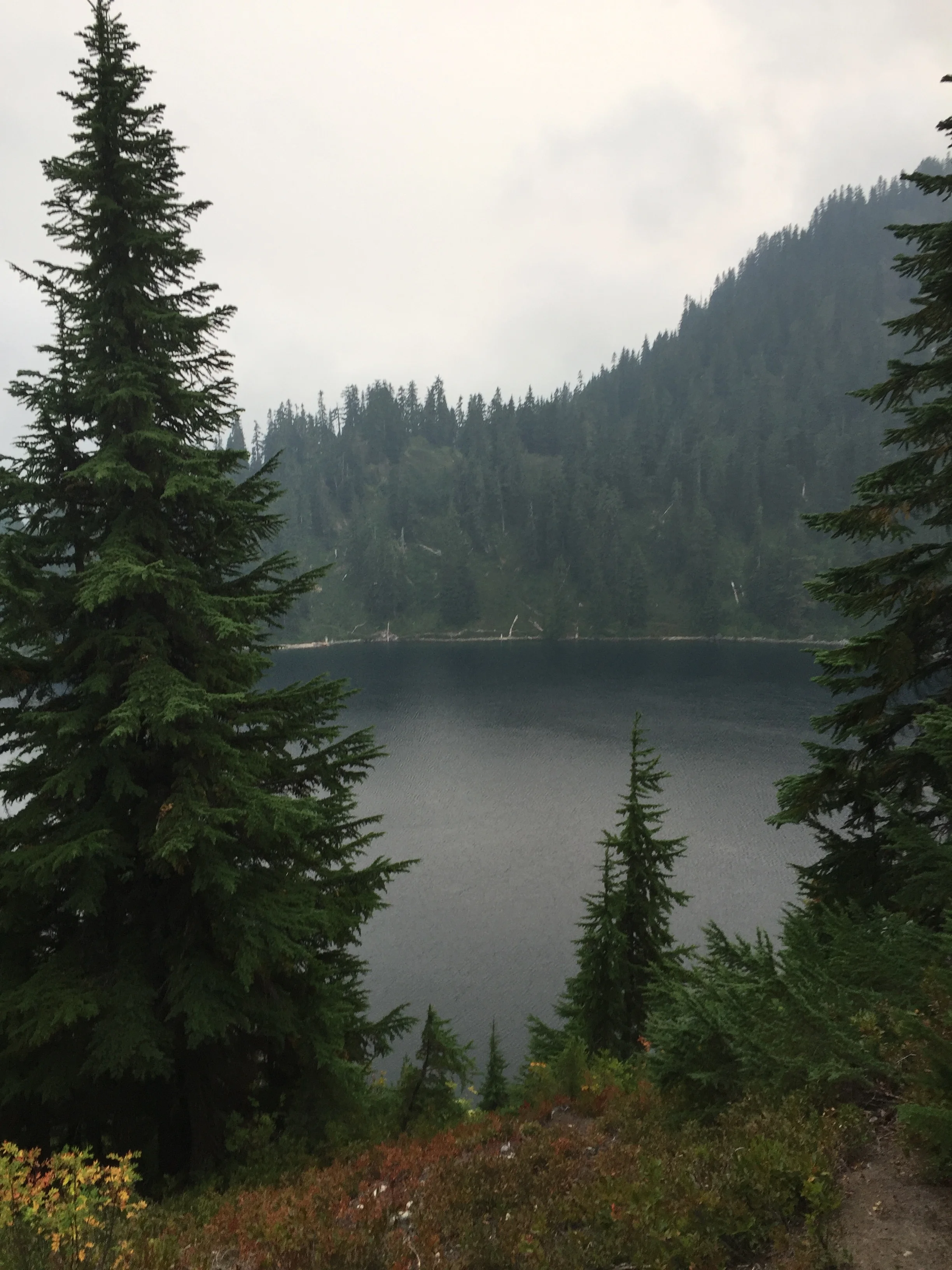 IMG_4638.JPG