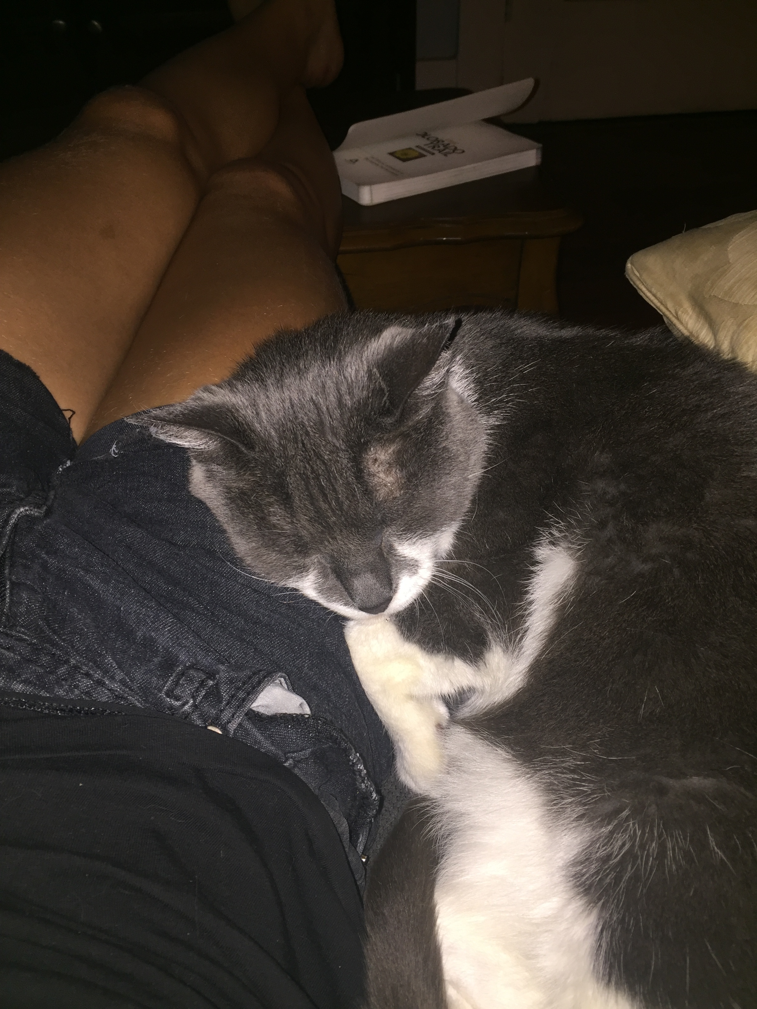 I can’t leave him either! 😿