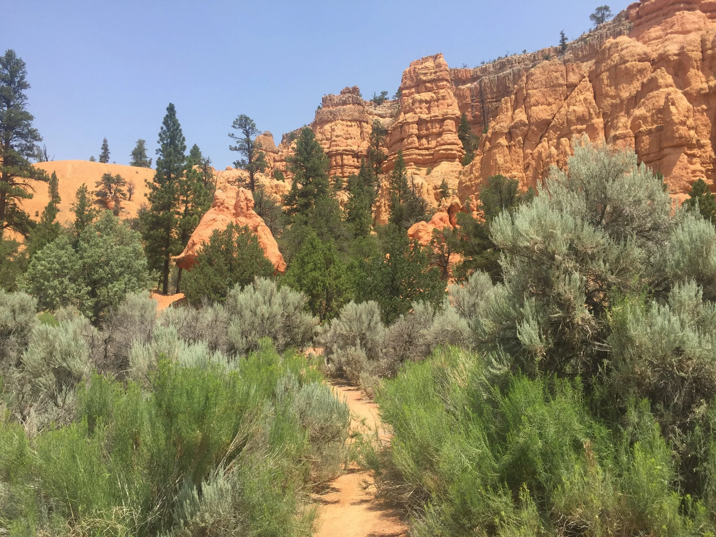 Red Rock Canyon along Highway 9