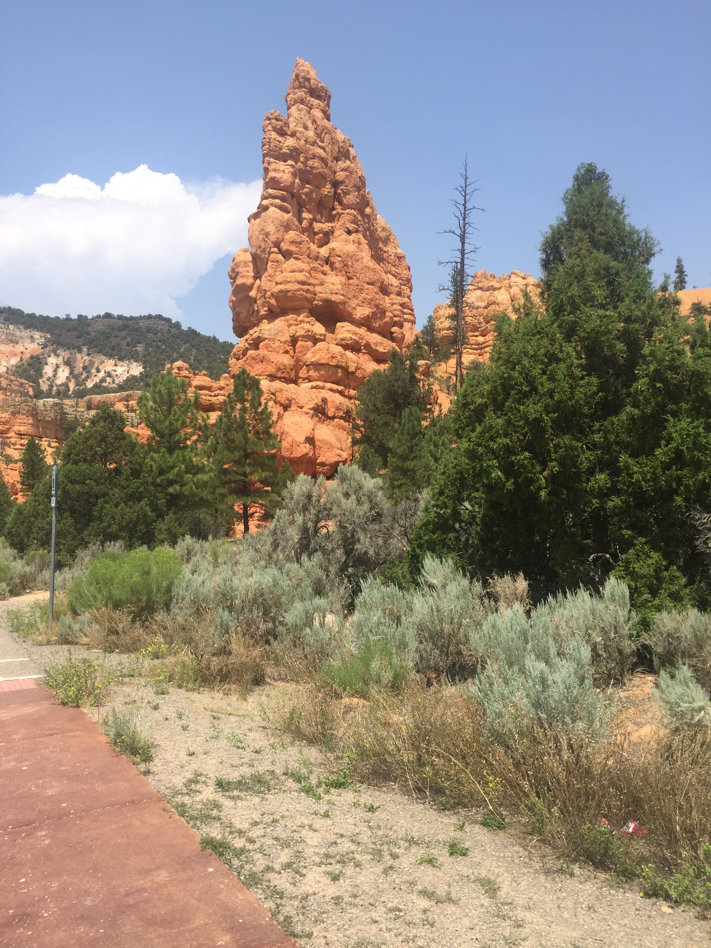 Red Rock Canyon along Highway 9