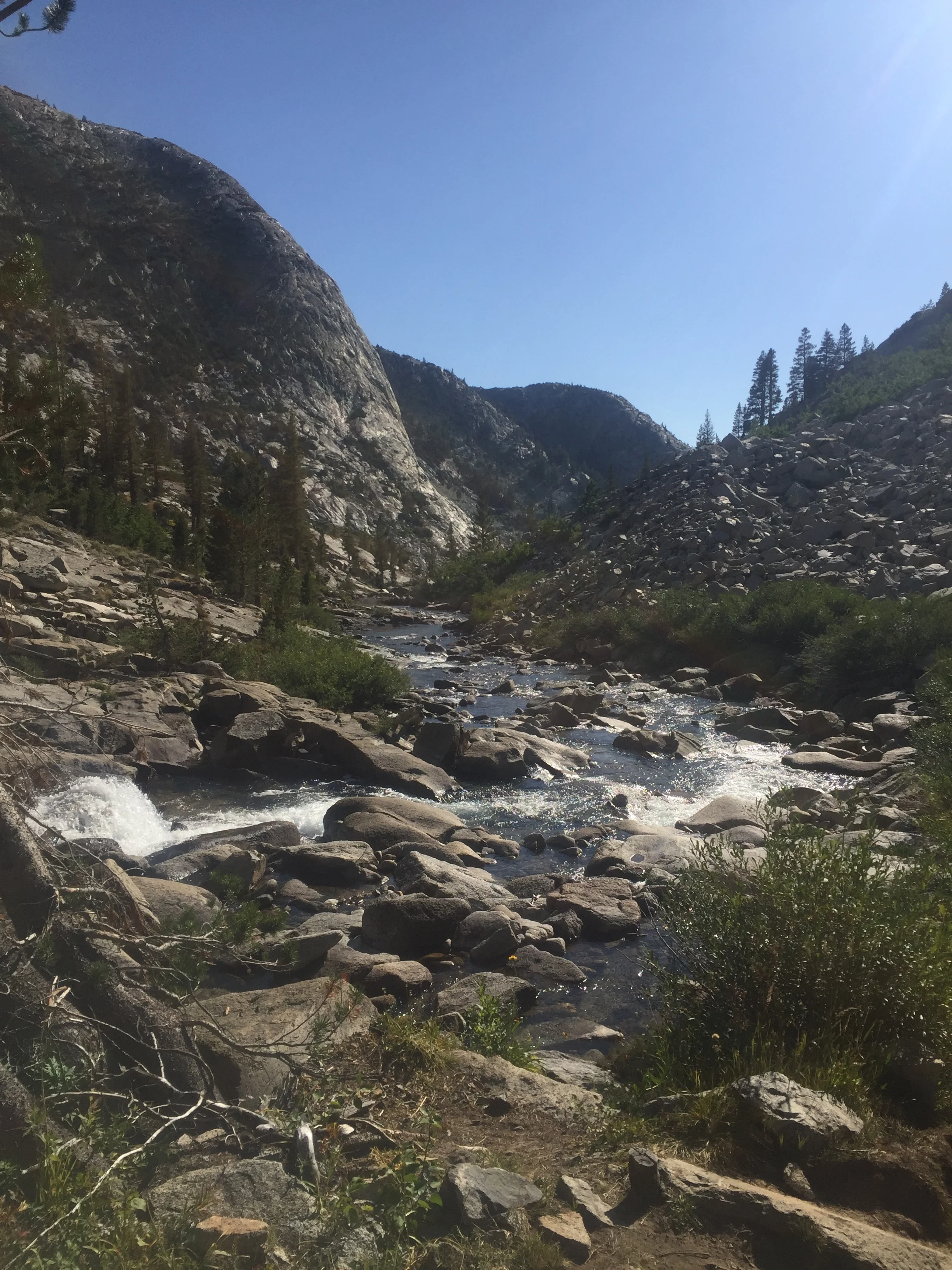 River Day 1.jpg