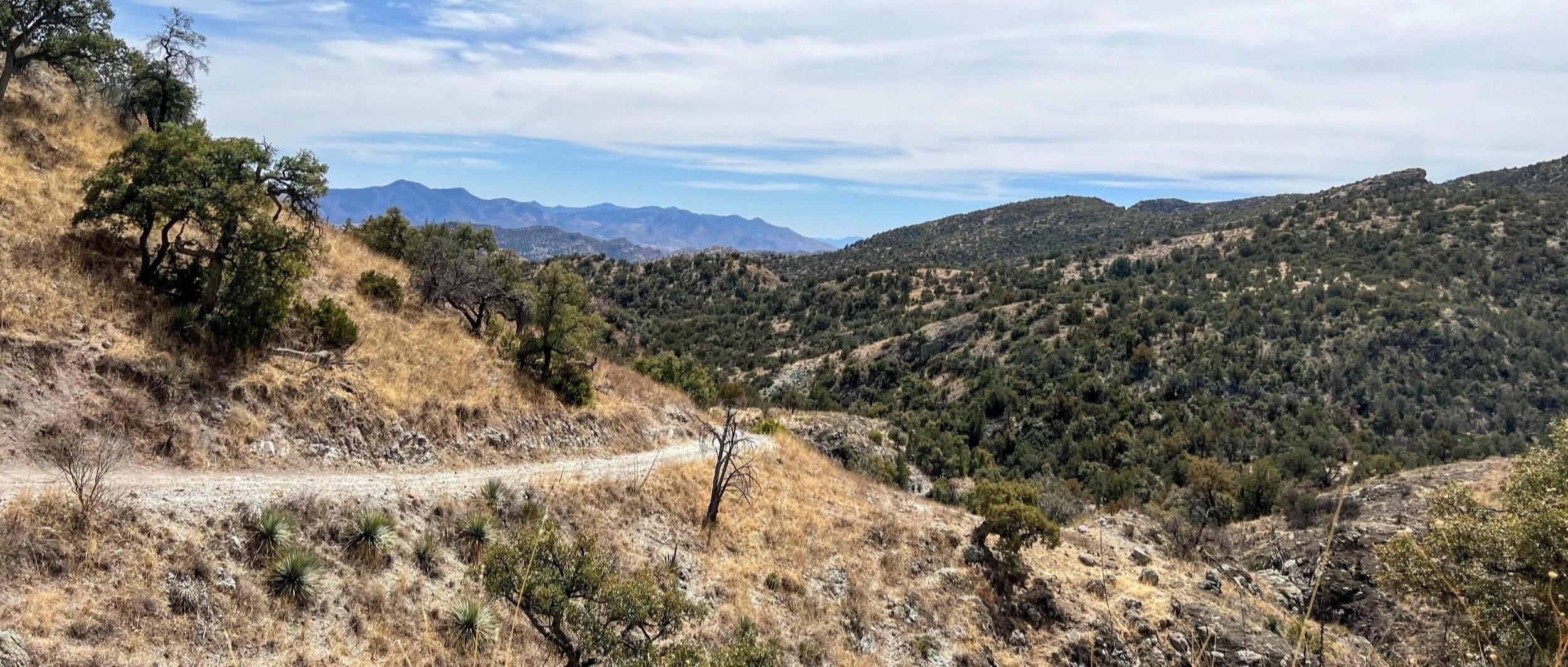 Temporal Canyon Road