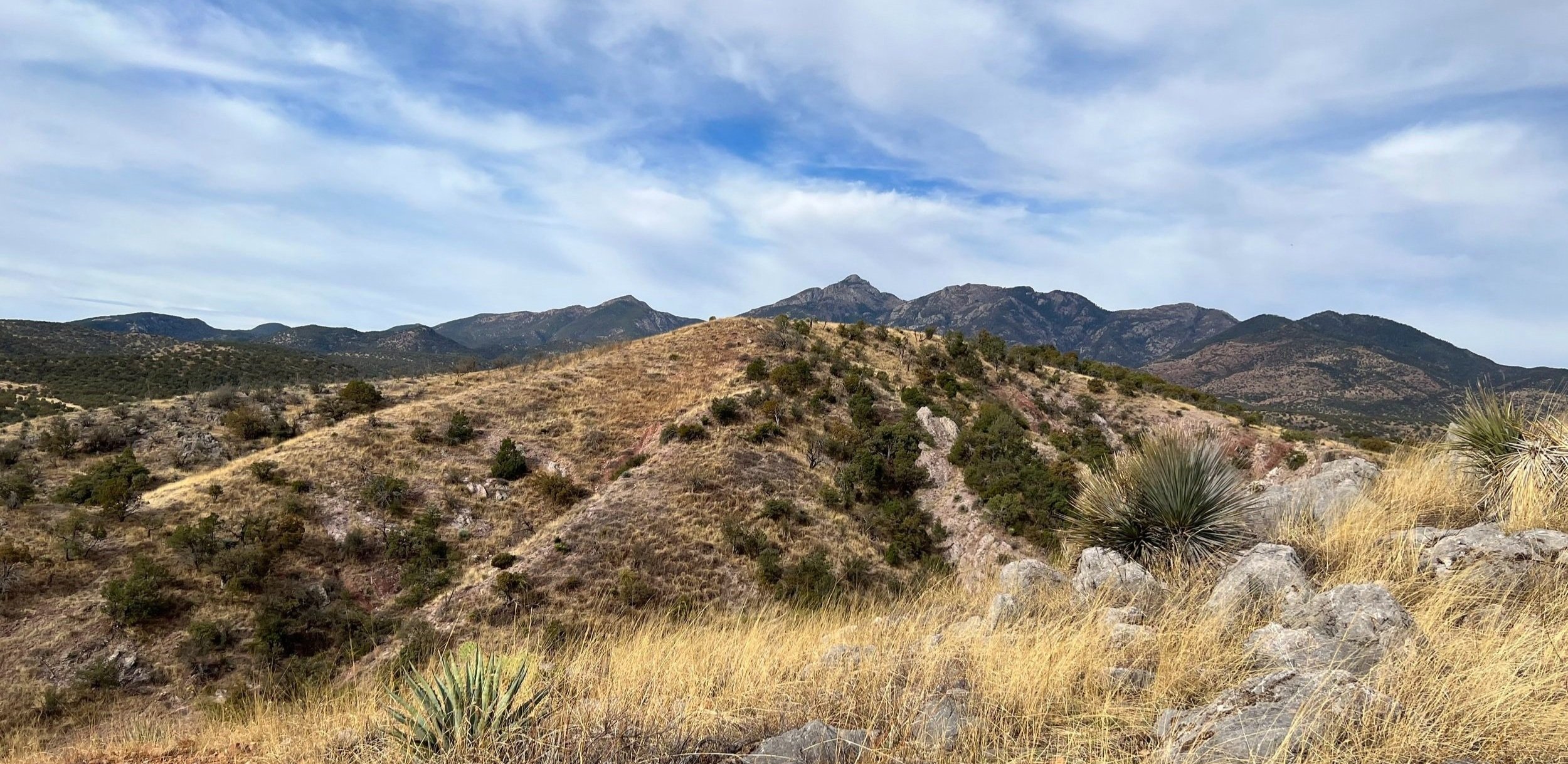 Near Gardner Canyon Road