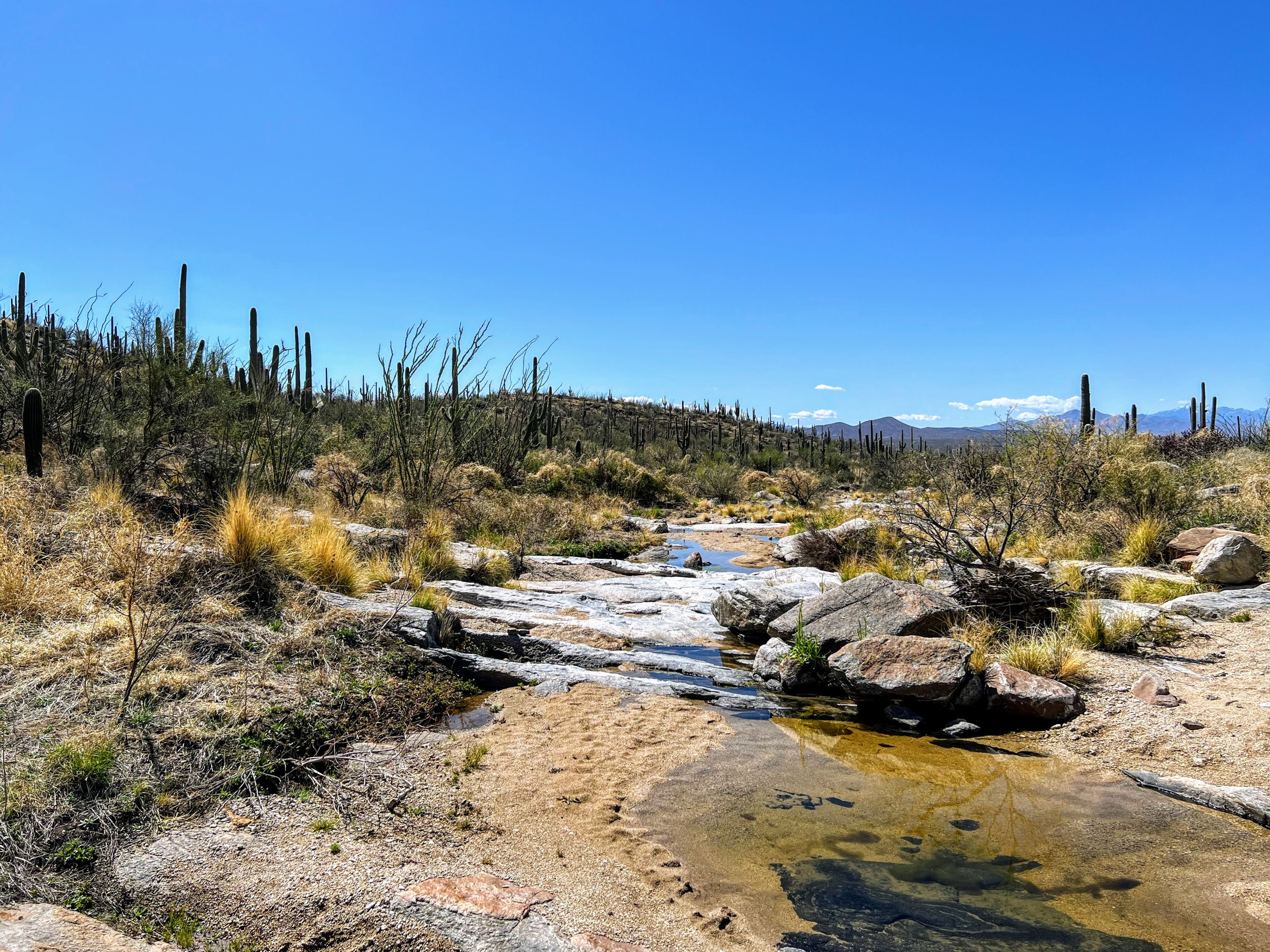 Creekside Break Spot