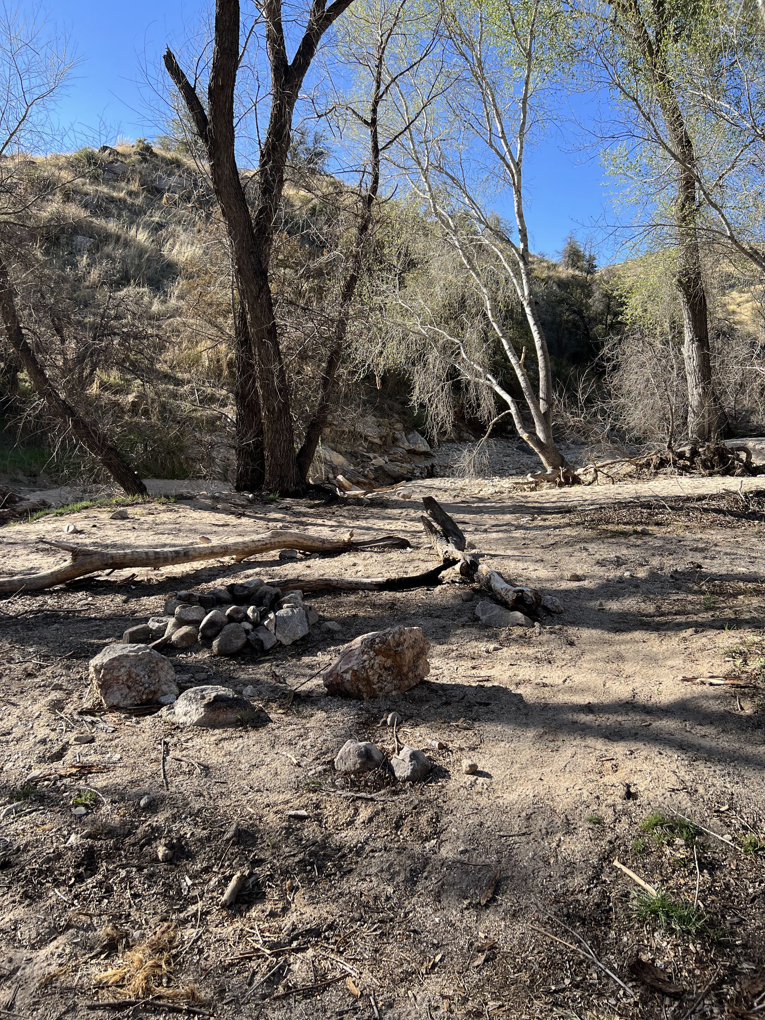 Sabino Canyon