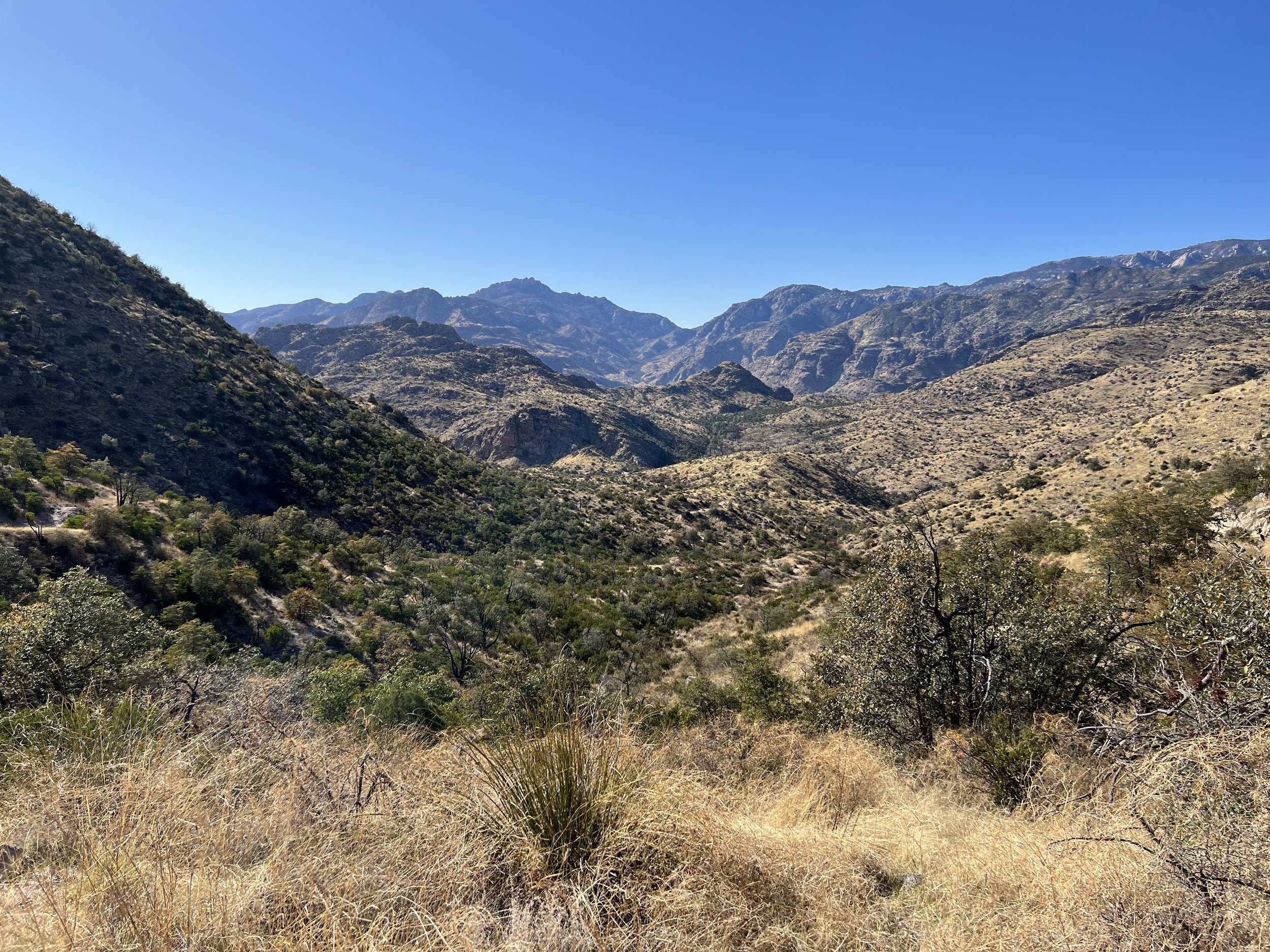 Sabino Canyon