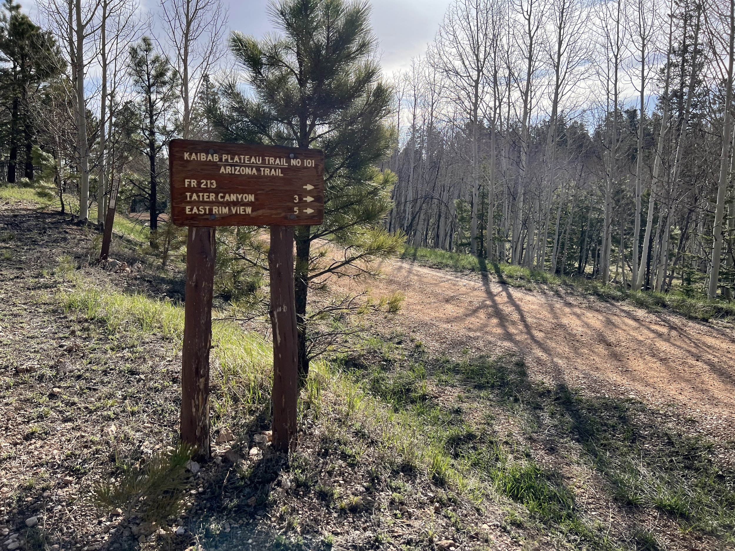 Kaibab Plateau Trail Sign