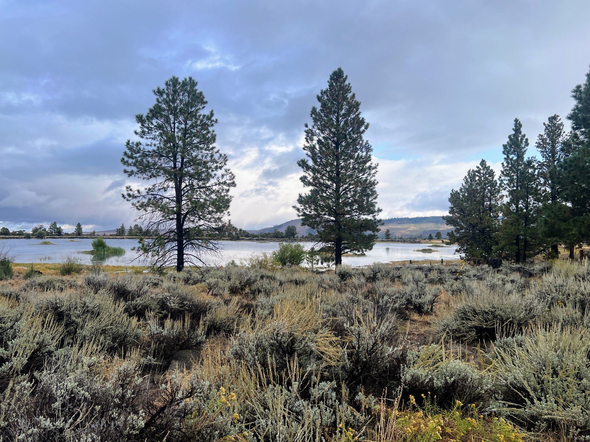 Vee Lake Campground