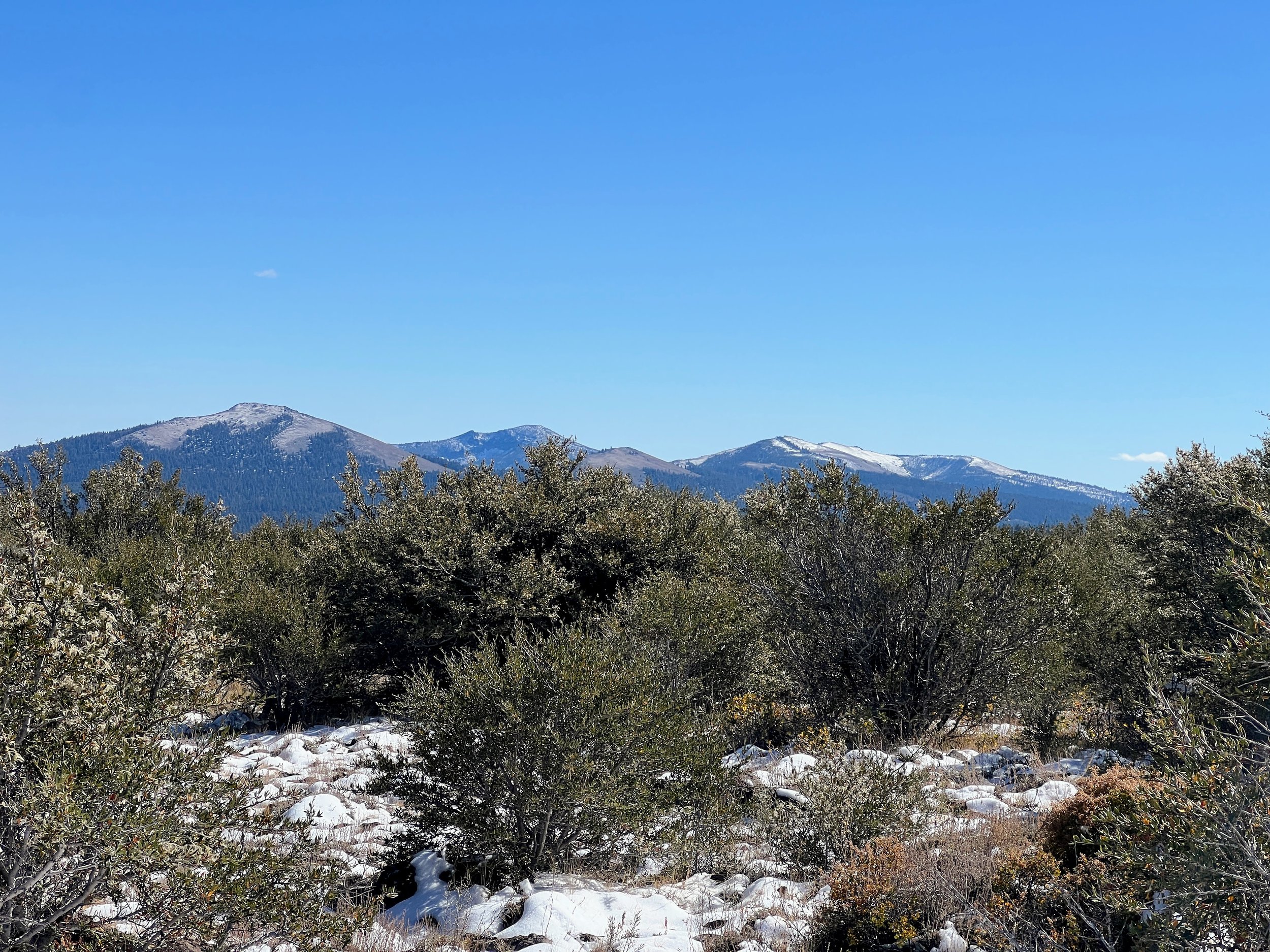 Abert Rim