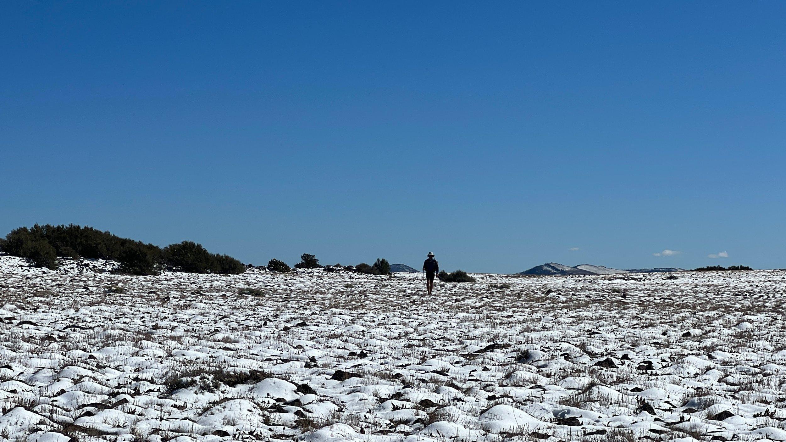 Abert Rim