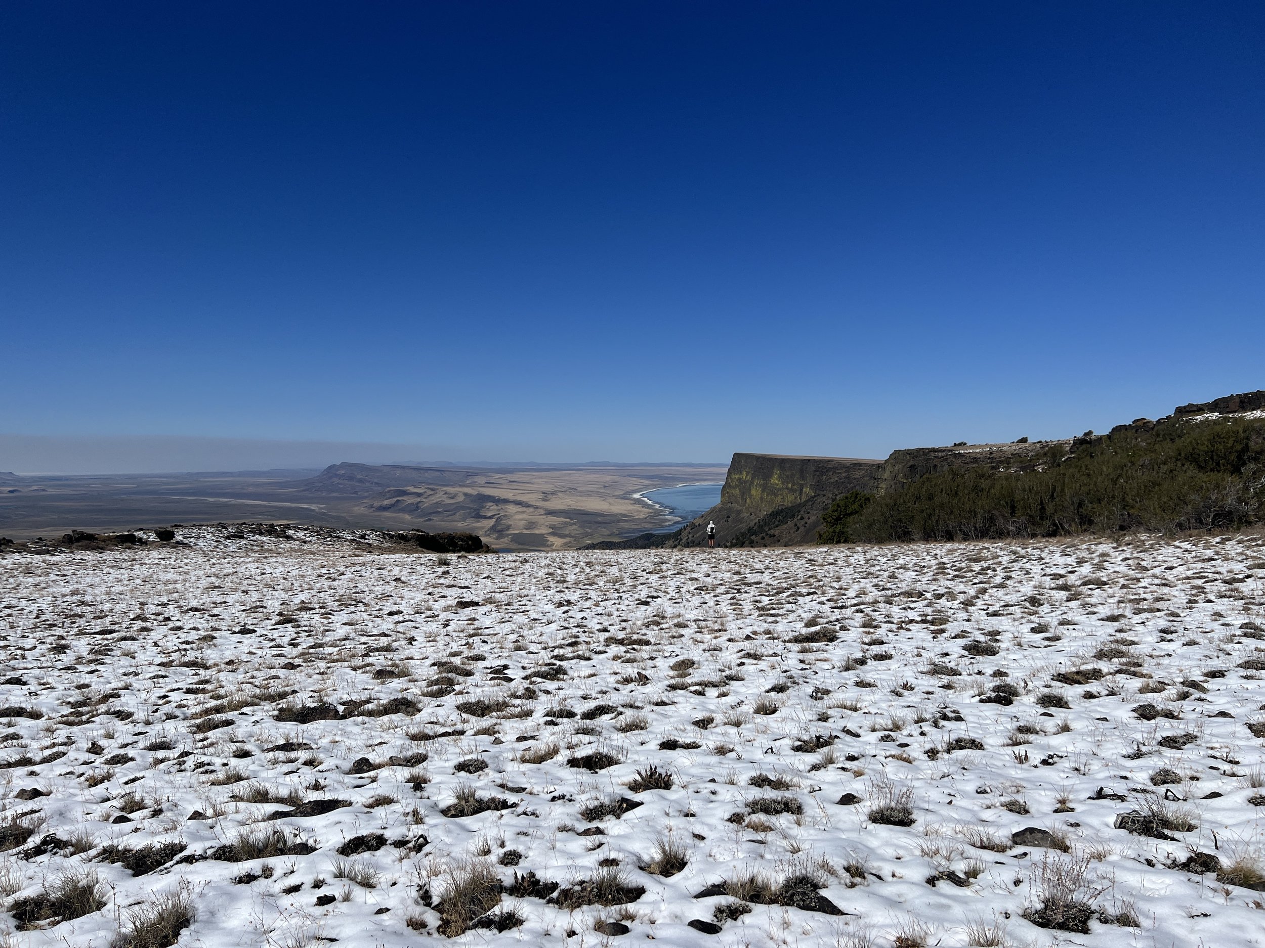 Abert Rim