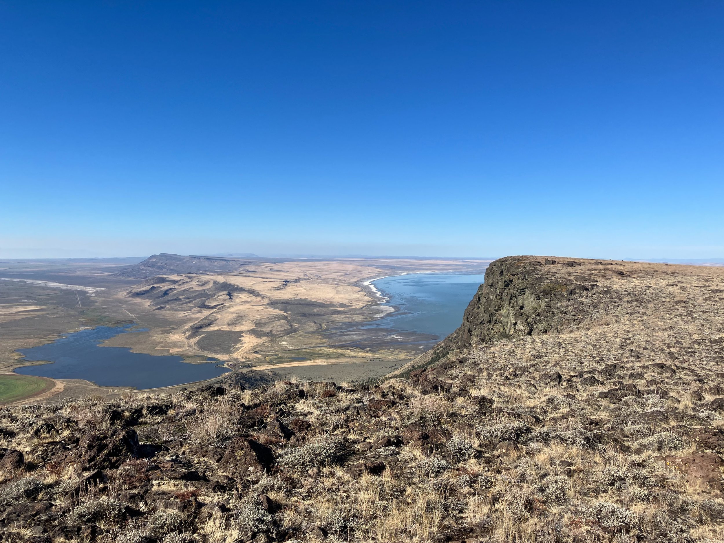 Abert Rim