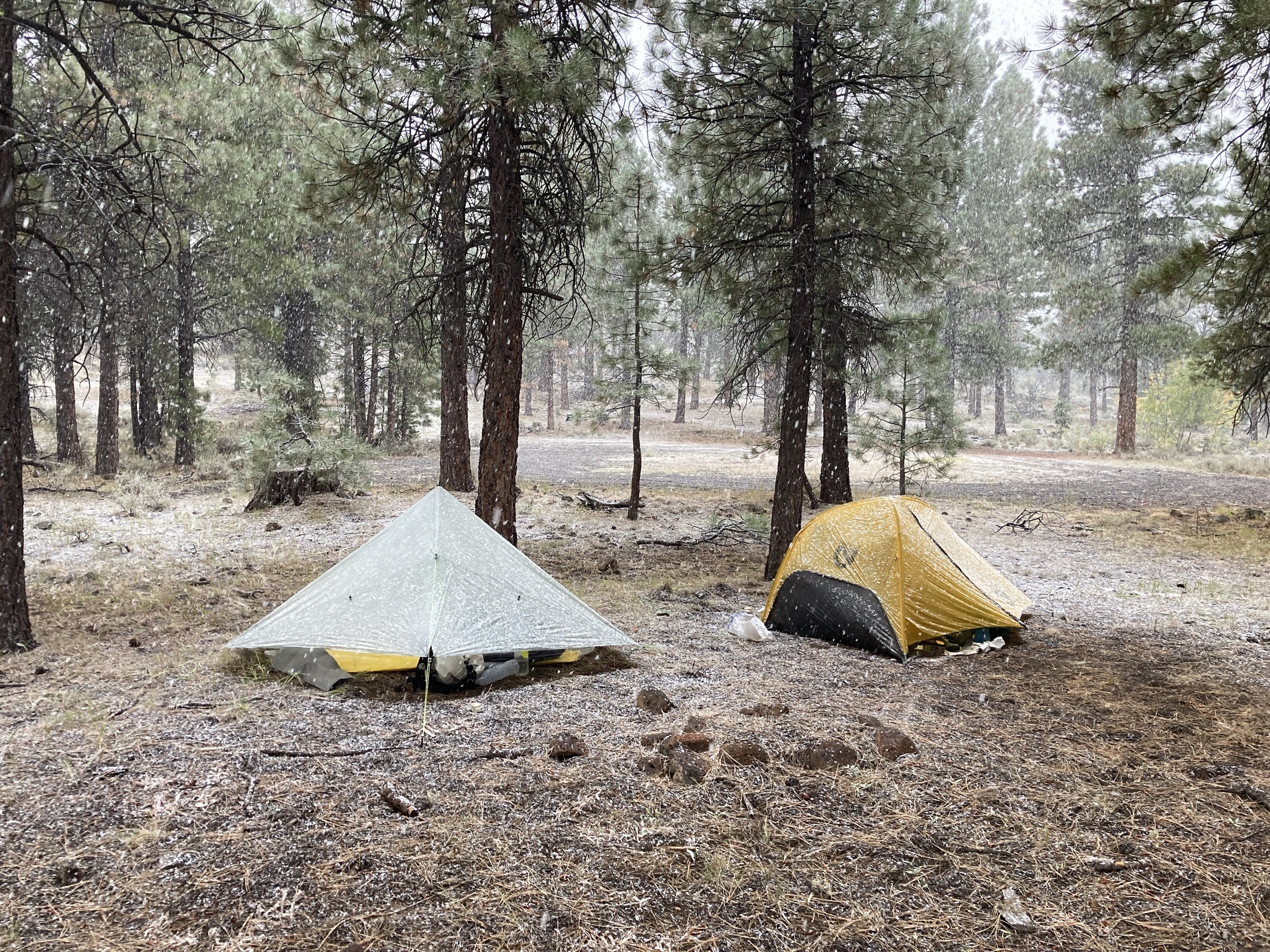 ODT Part 3: Paisley to Plush