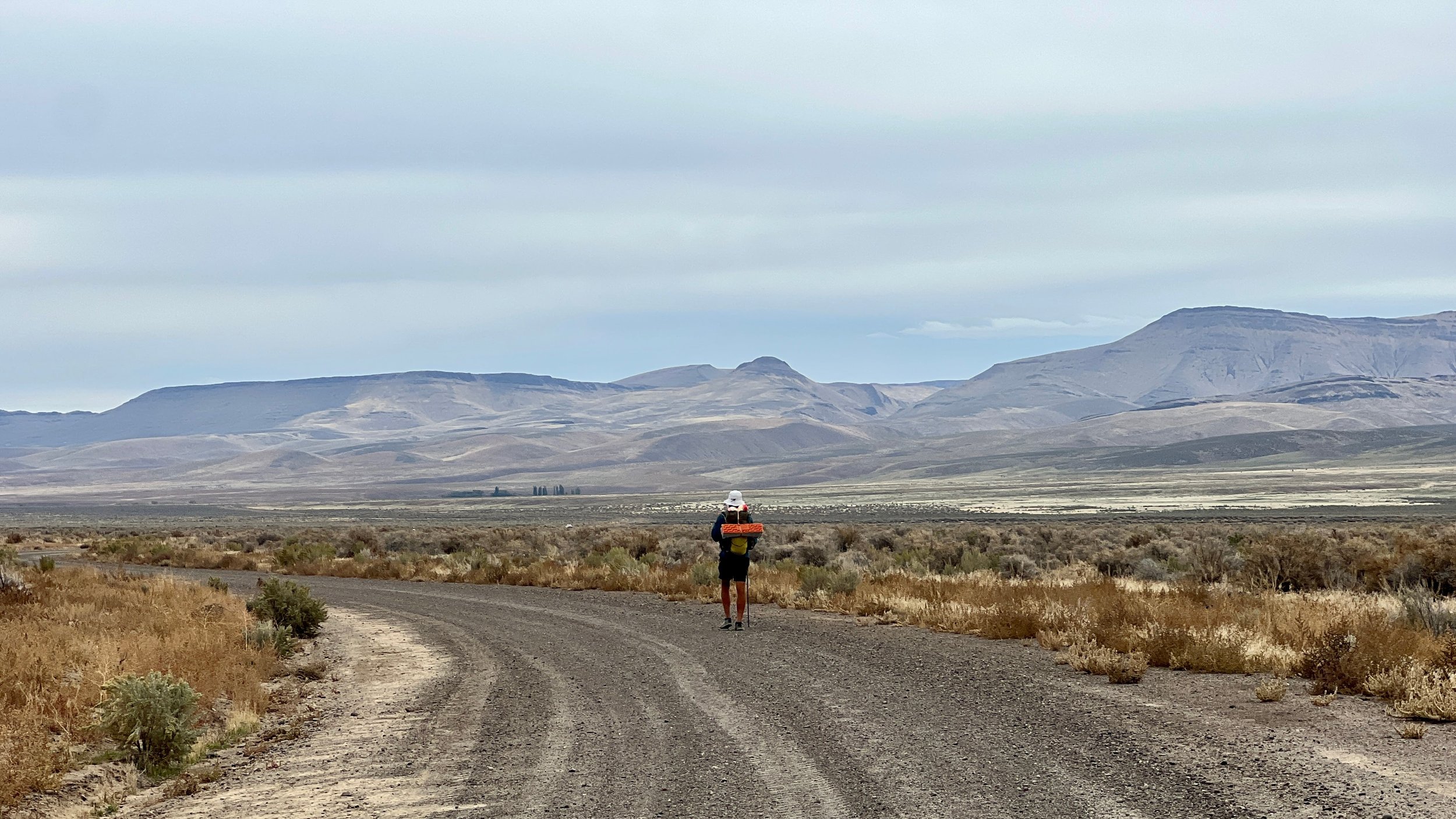 Cottonwood-Fields Road