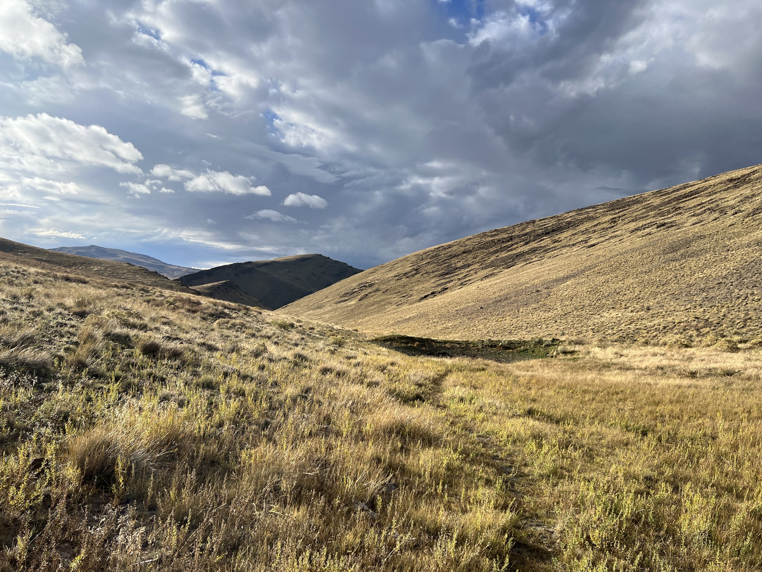 No Name Creek Drainage