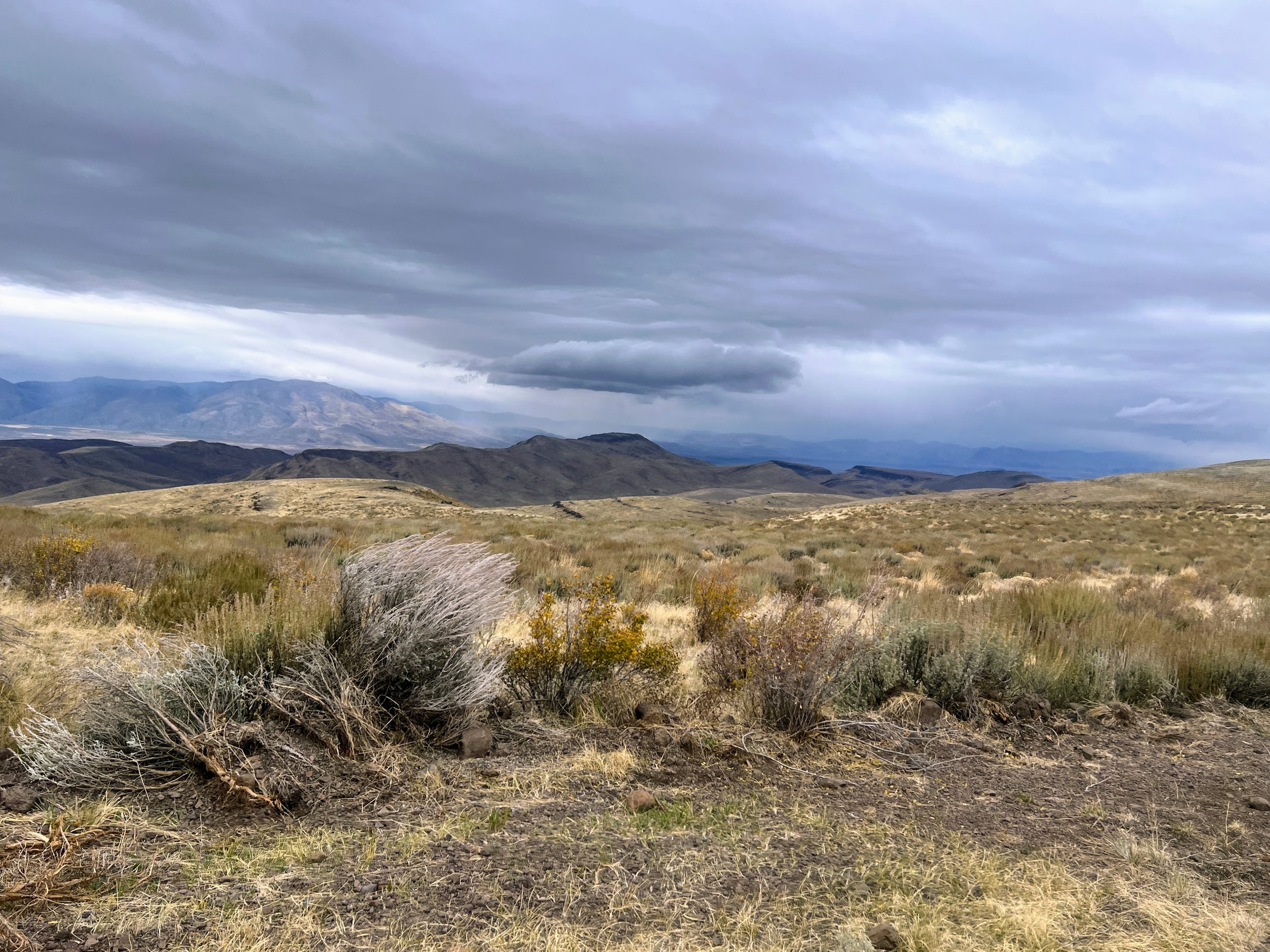 Trout Creek Loop Road