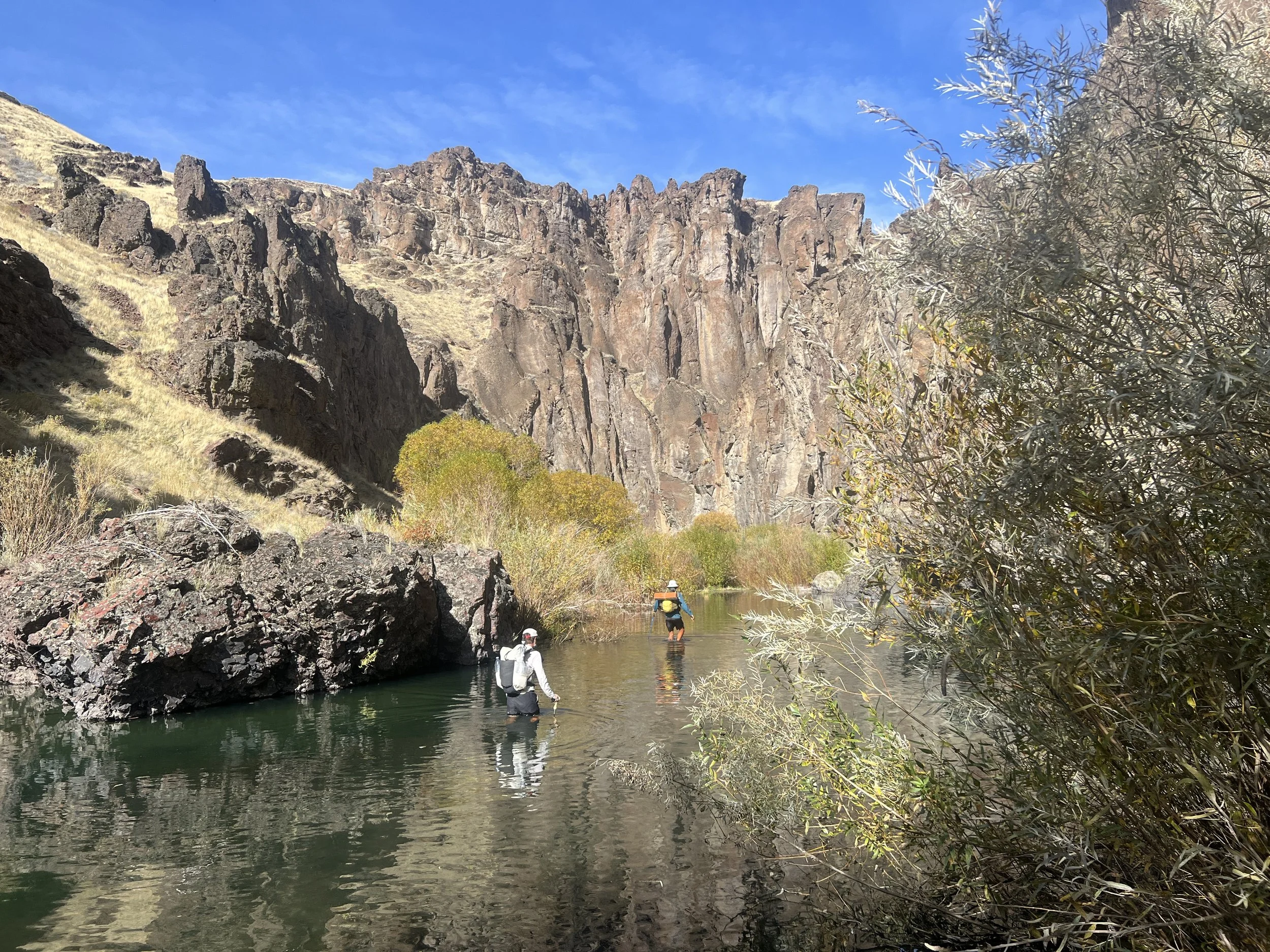 West Little Owyhee River