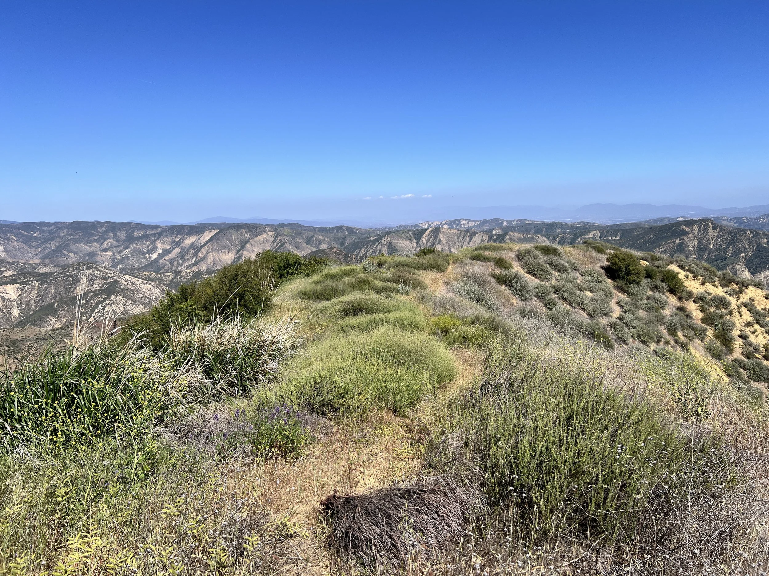 Pothole Trail