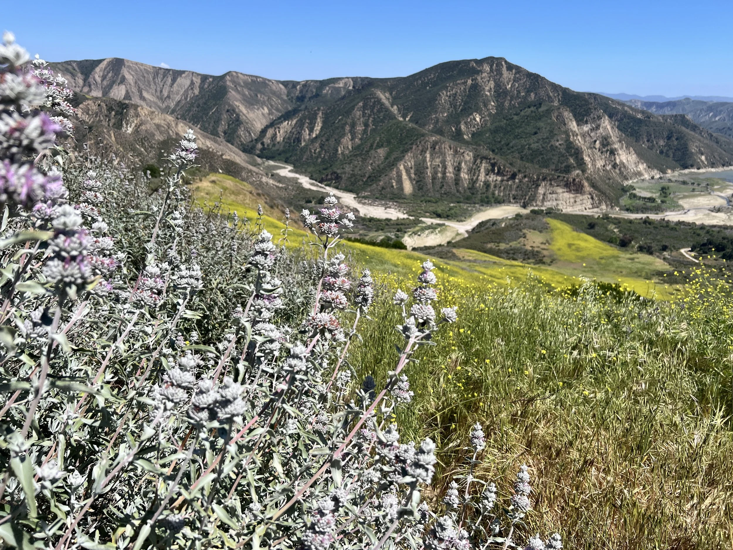 Pothole Trail