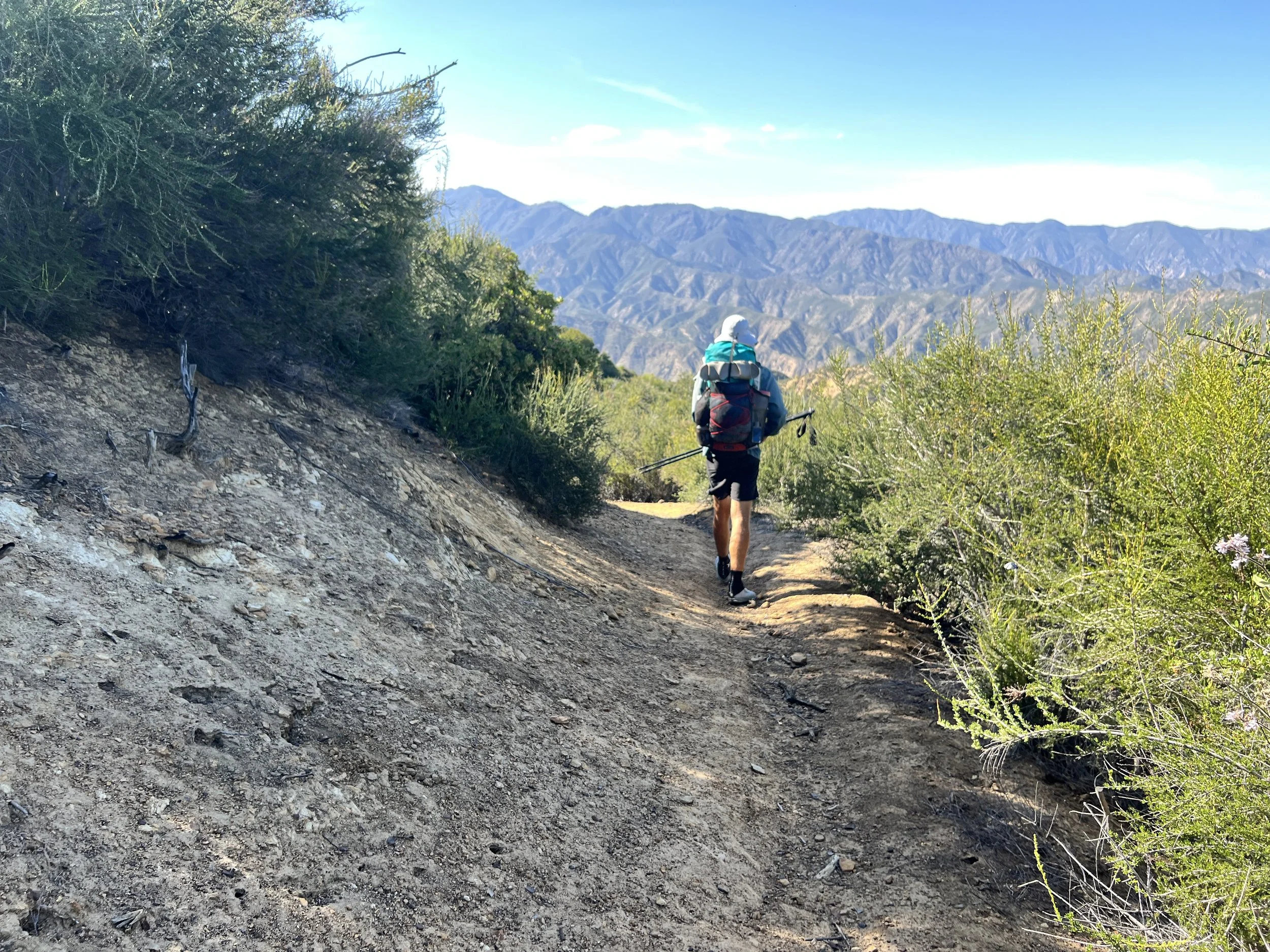 Cosmo on Pothole Trail