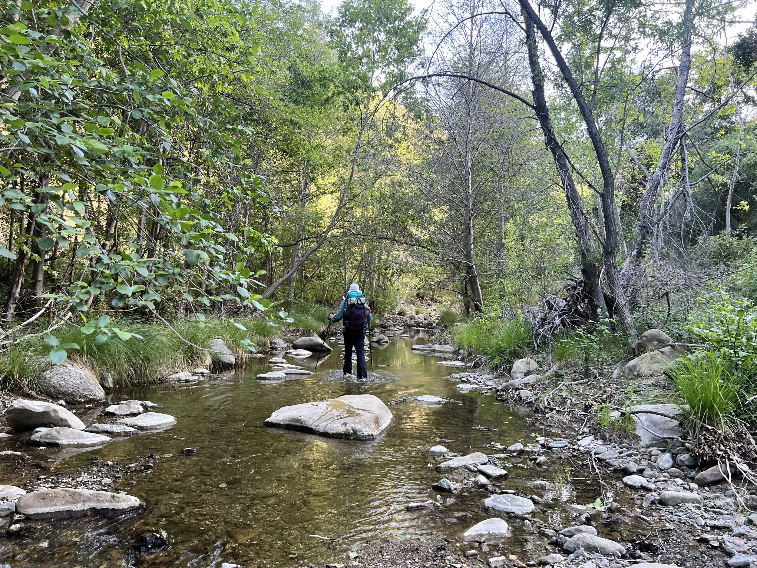 Cosmo in Agua Blanca Creek
