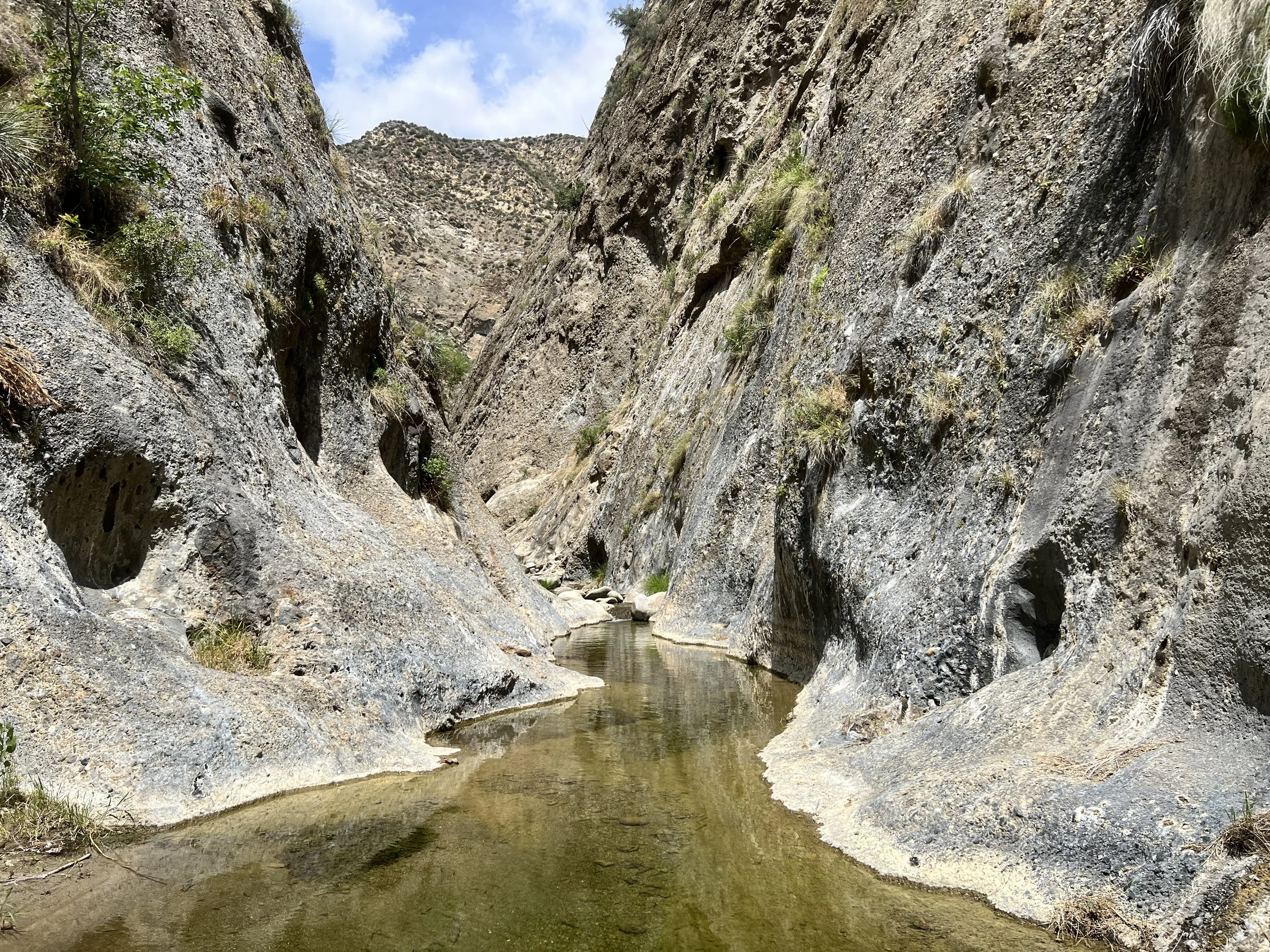 Agua Blanca Creek