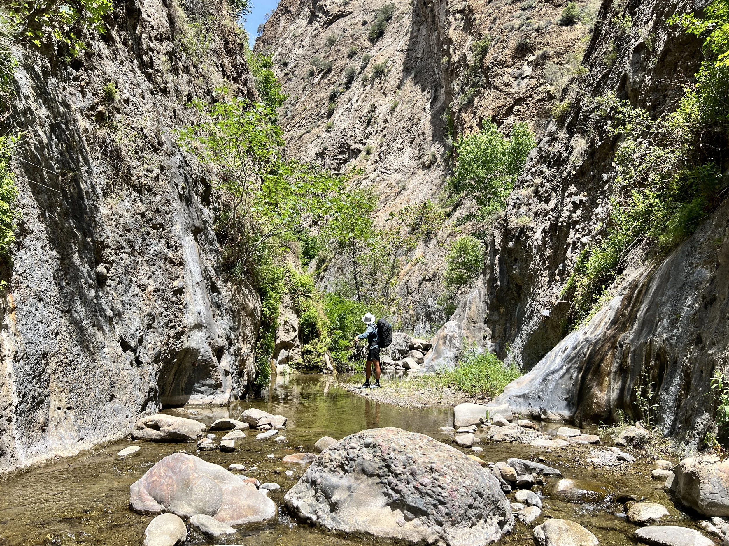 Cosmo entering Big Narrows