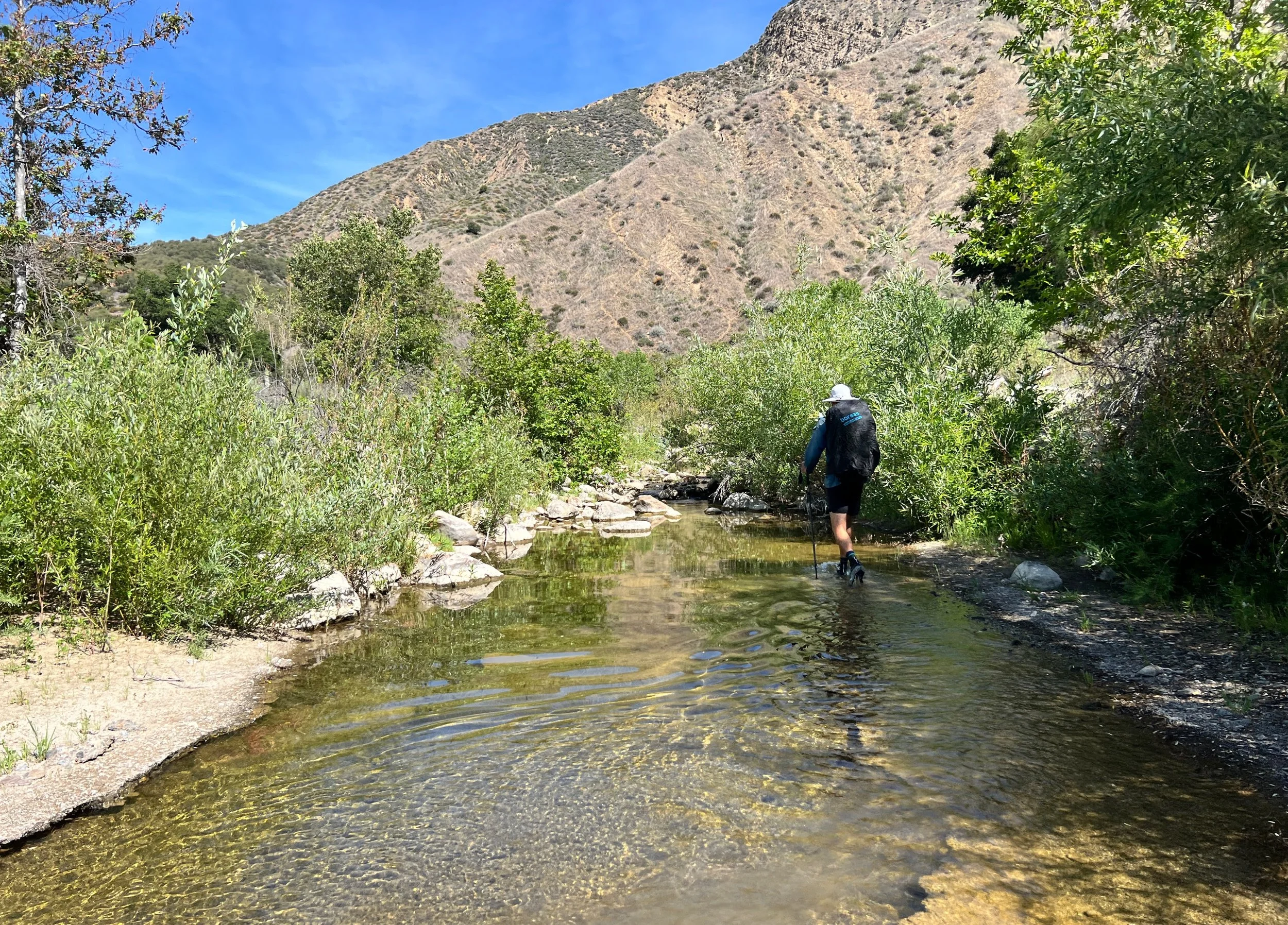 Cosmo in Agua Blanca Creek