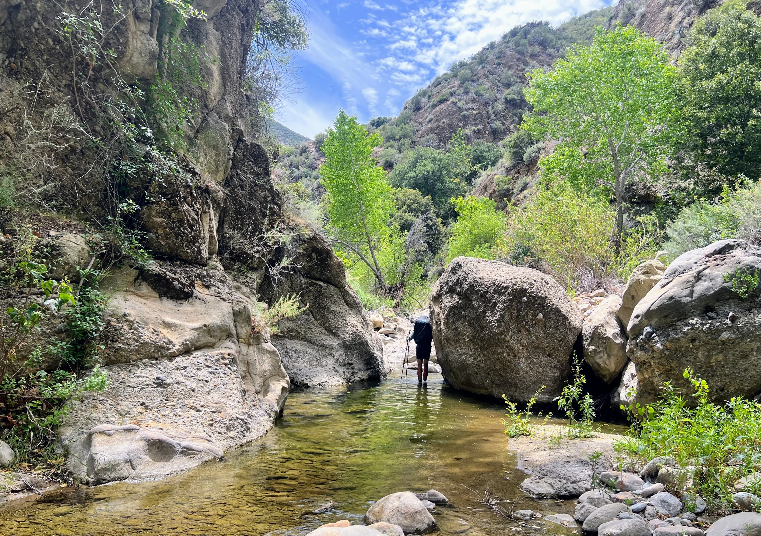 Cosmo in Agua Blanca Creek