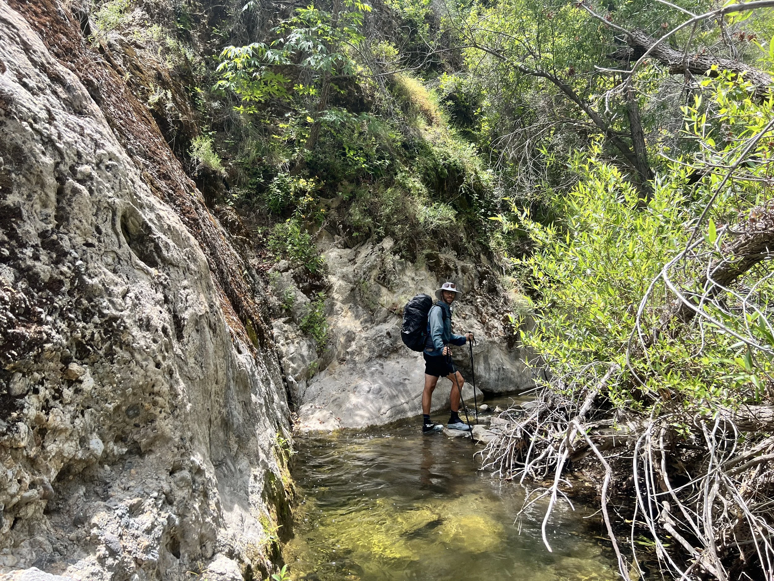 Cosmo in Agua Blanca Creek