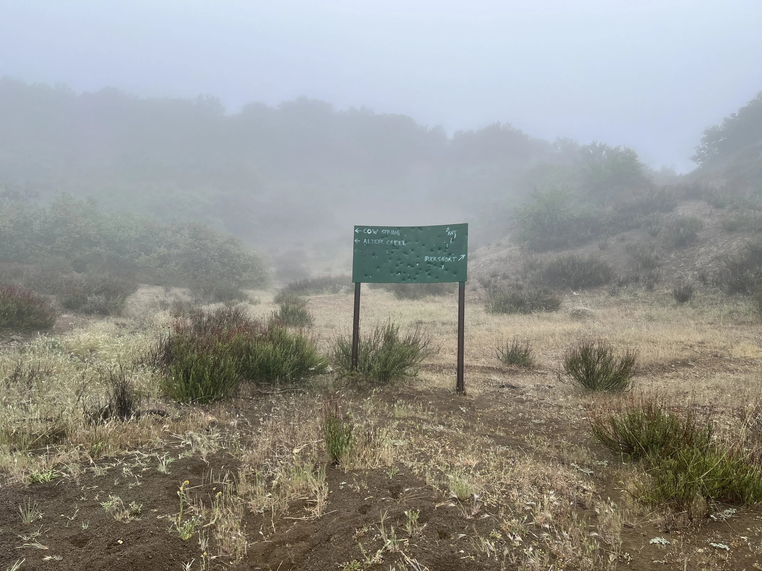 Bucksnort Trail