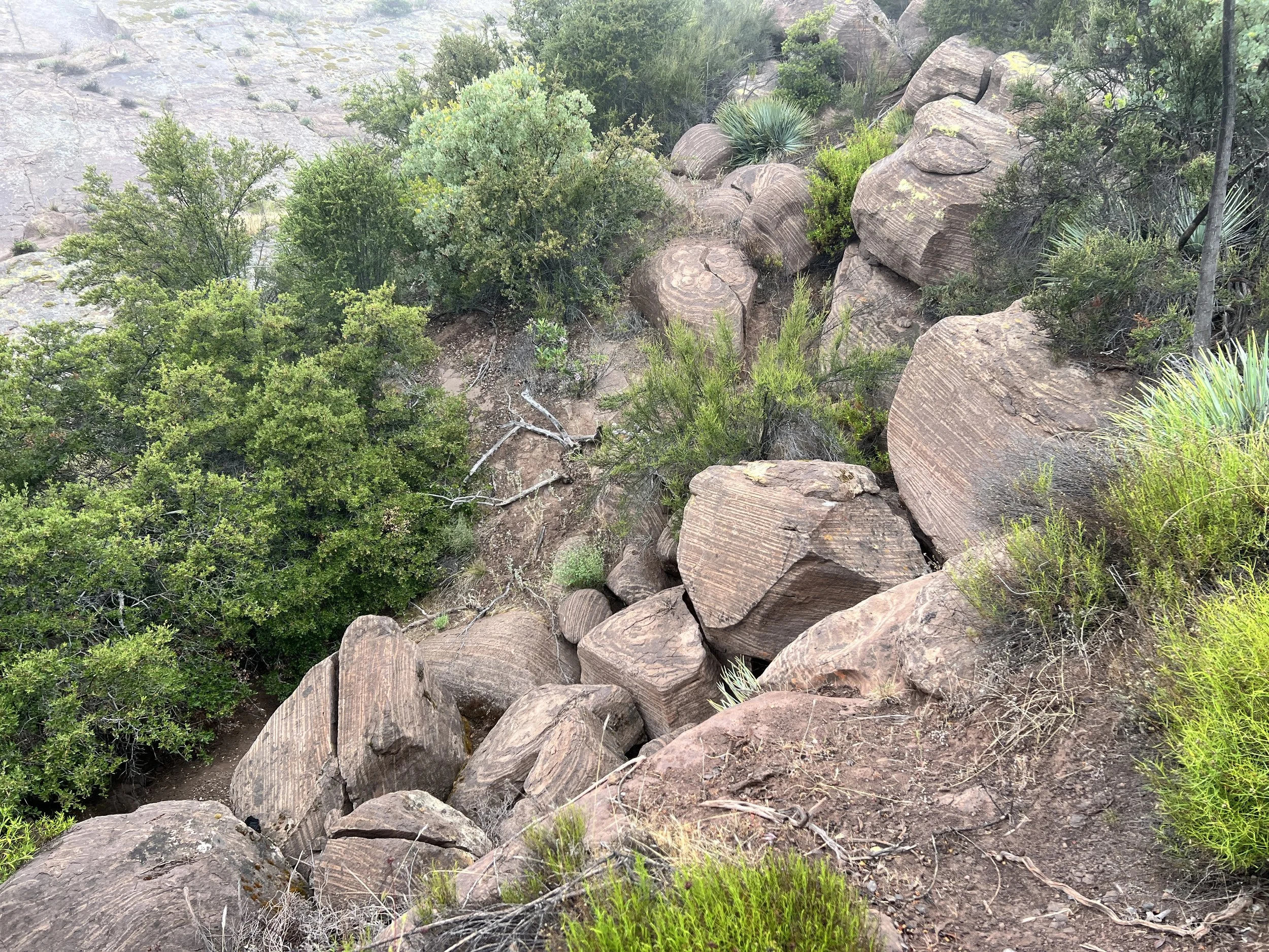 Rocks on Alder Creek Trail