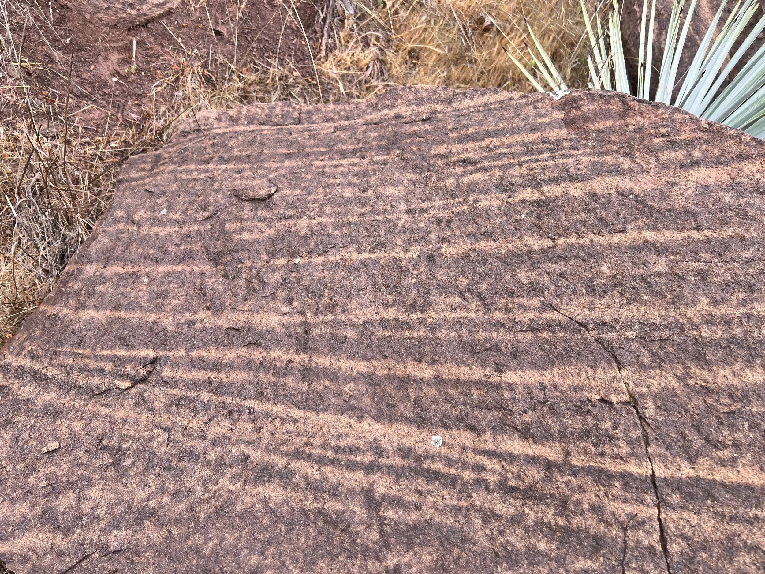 Rocks on Alder Creek Trail