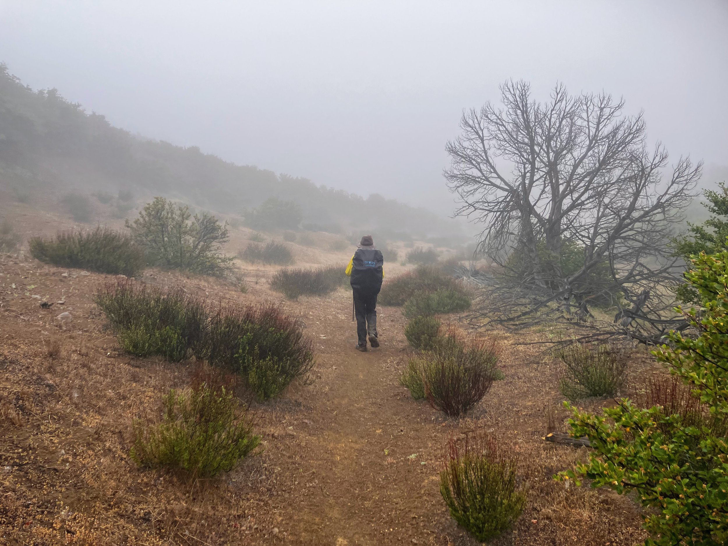 Me on Alder Creek Trail